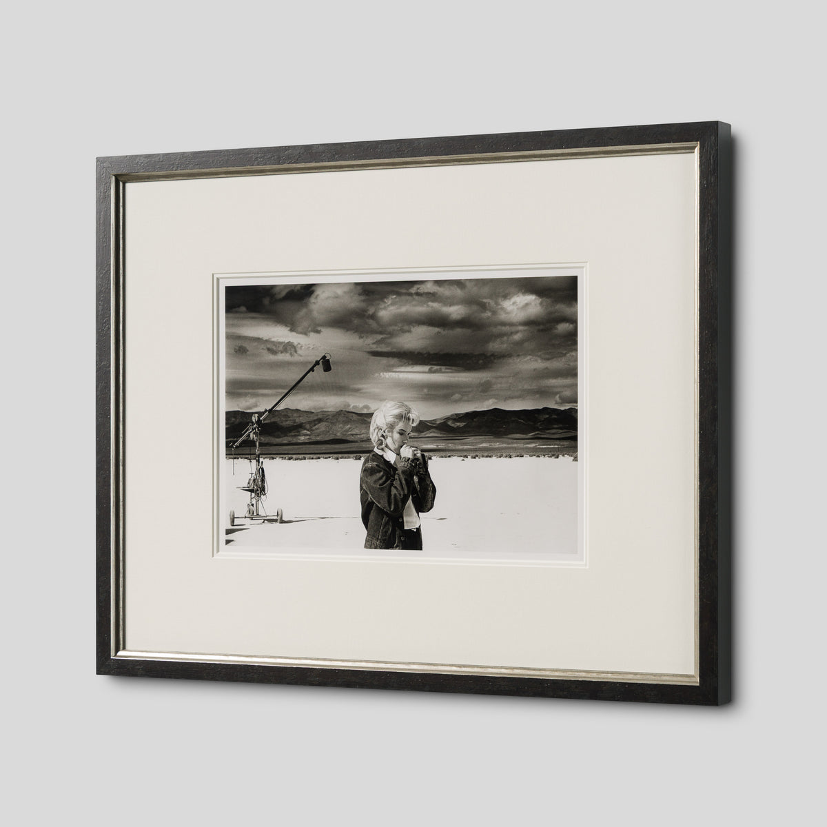 EAR NEVADA DESERT (11A) (SML) 2