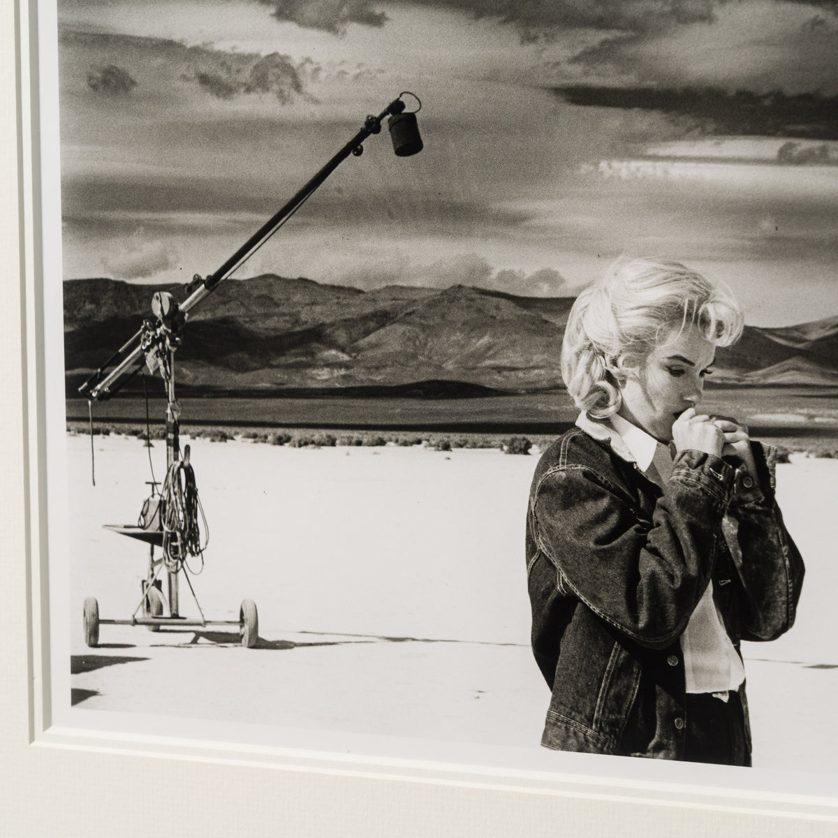 EAR NEVADA DESERT (11A) (SML) 5