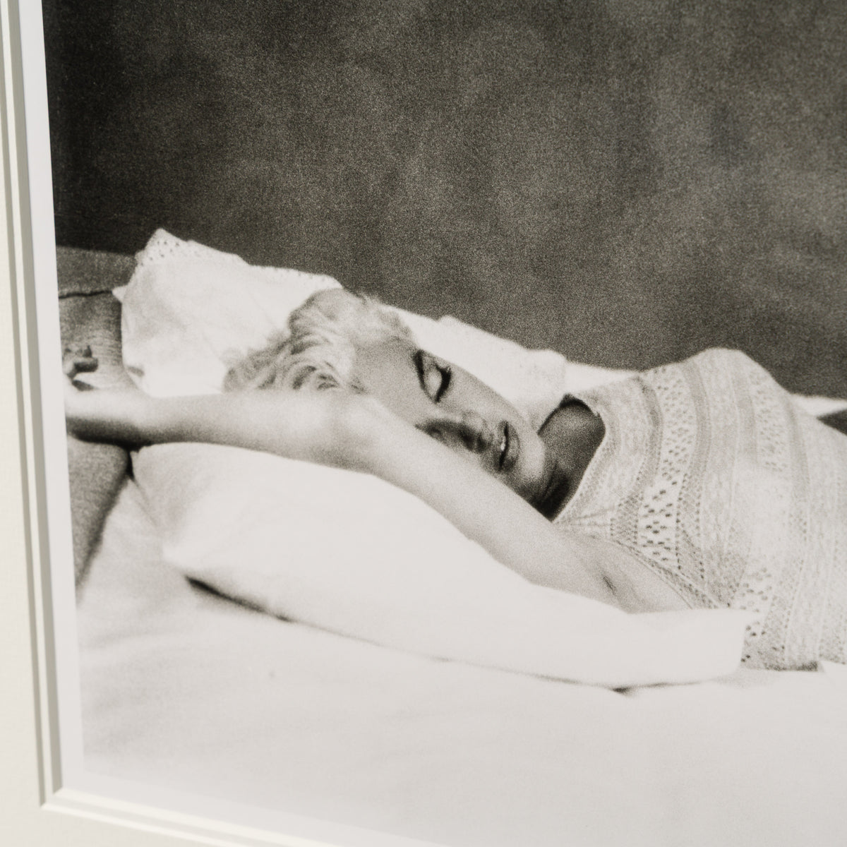 EAR RESTING AFTER A PLANE JOURNEY (23A) SML 3