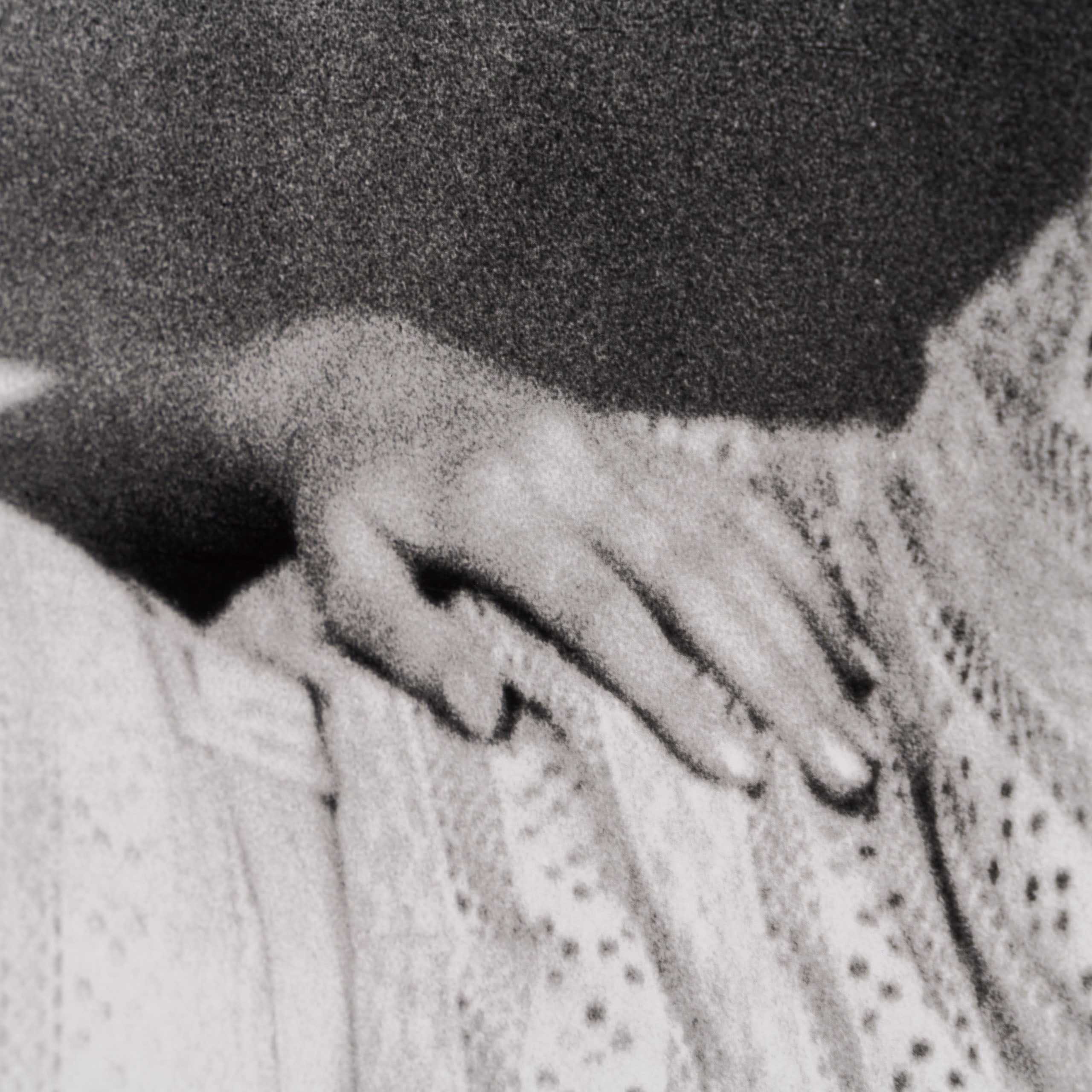 EAR RESTING AFTER A PLANE JOURNEY (23B) LRG 5