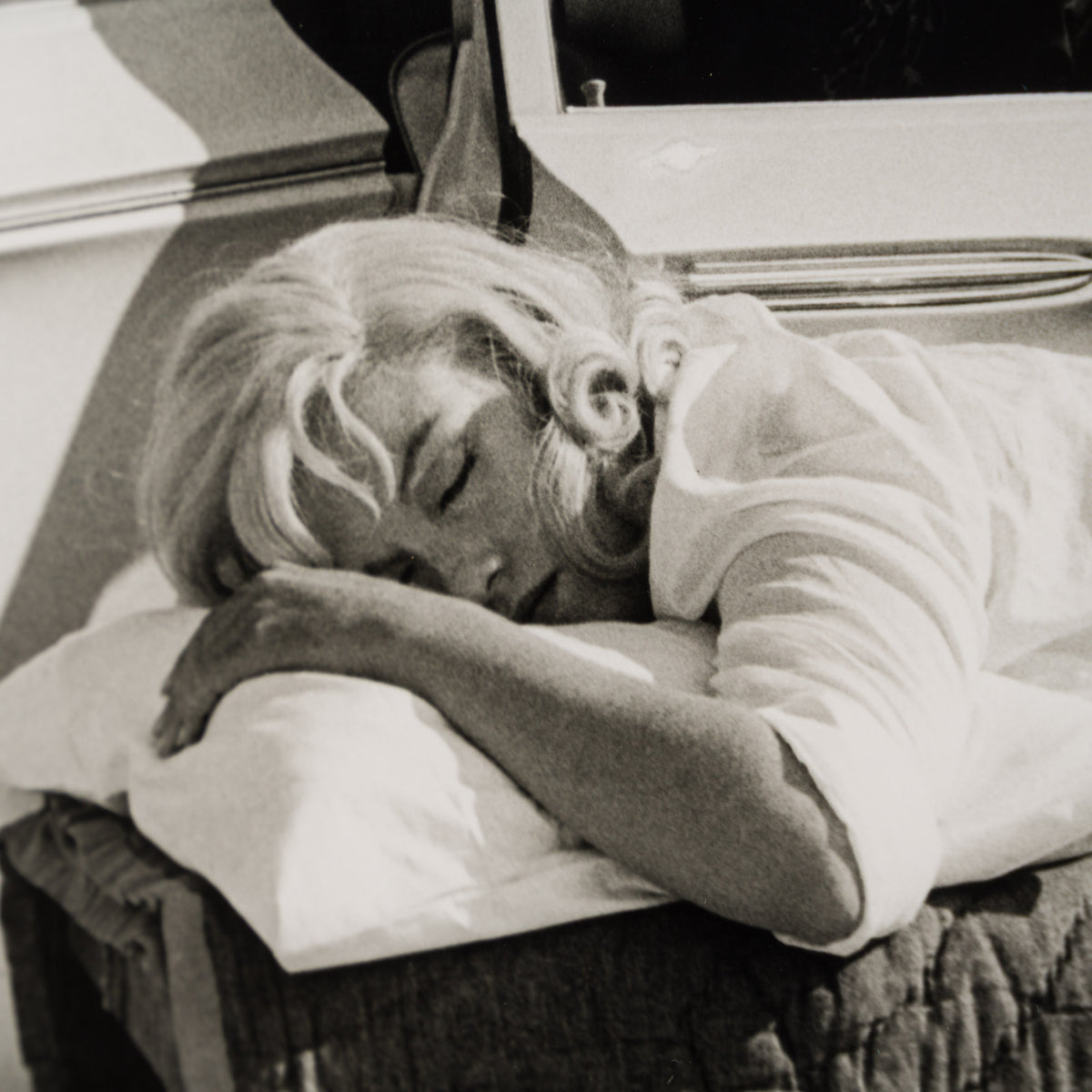 EAR RESTING ON SET OF THE MISFITS (12A) SML 4