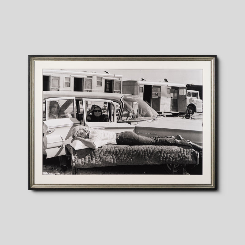 EAR RESTING ON SET OF THE MISFITS (12B) LRG 1 (1)