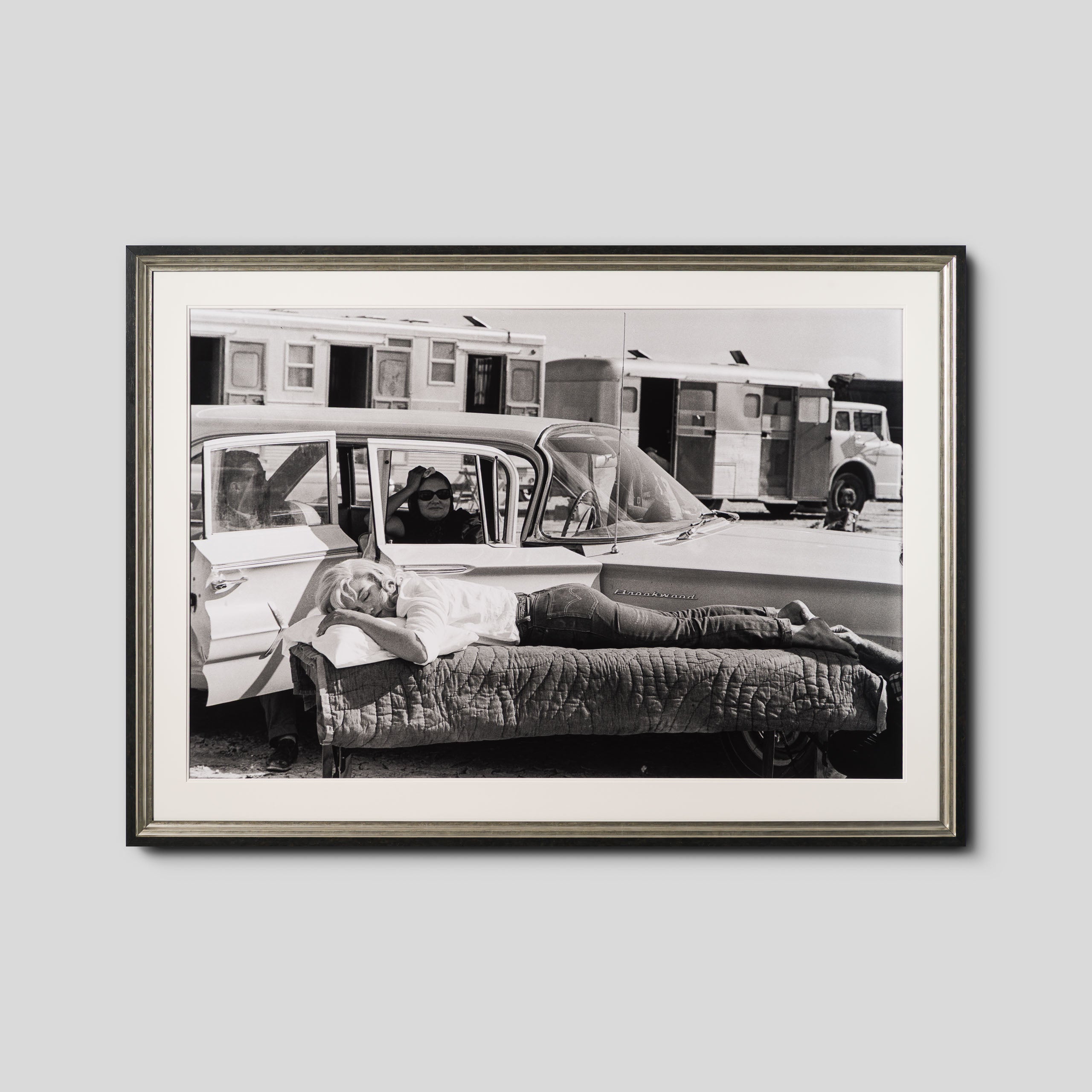 EAR RESTING ON SET OF THE MISFITS (12B) LRG 1 (1)