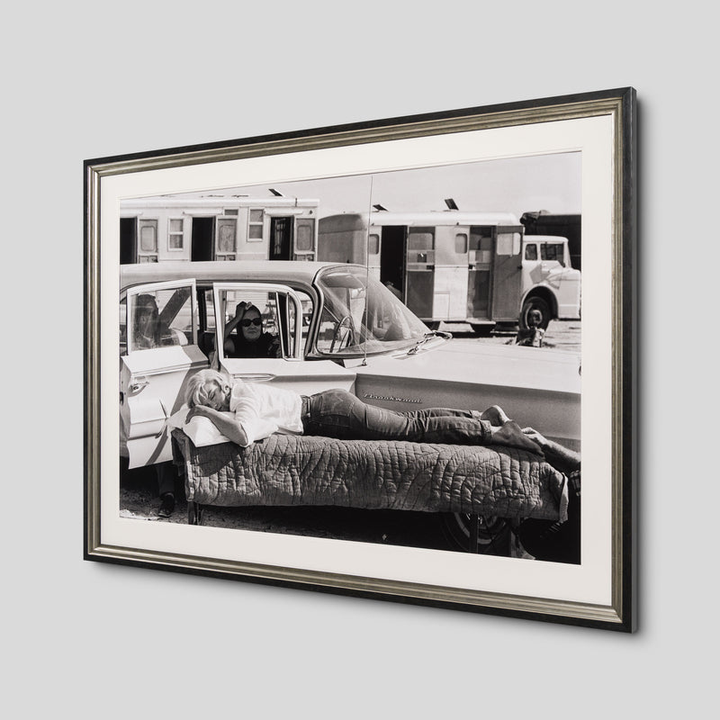 EAR RESTING ON SET OF THE MISFITS (12B) LRG 2