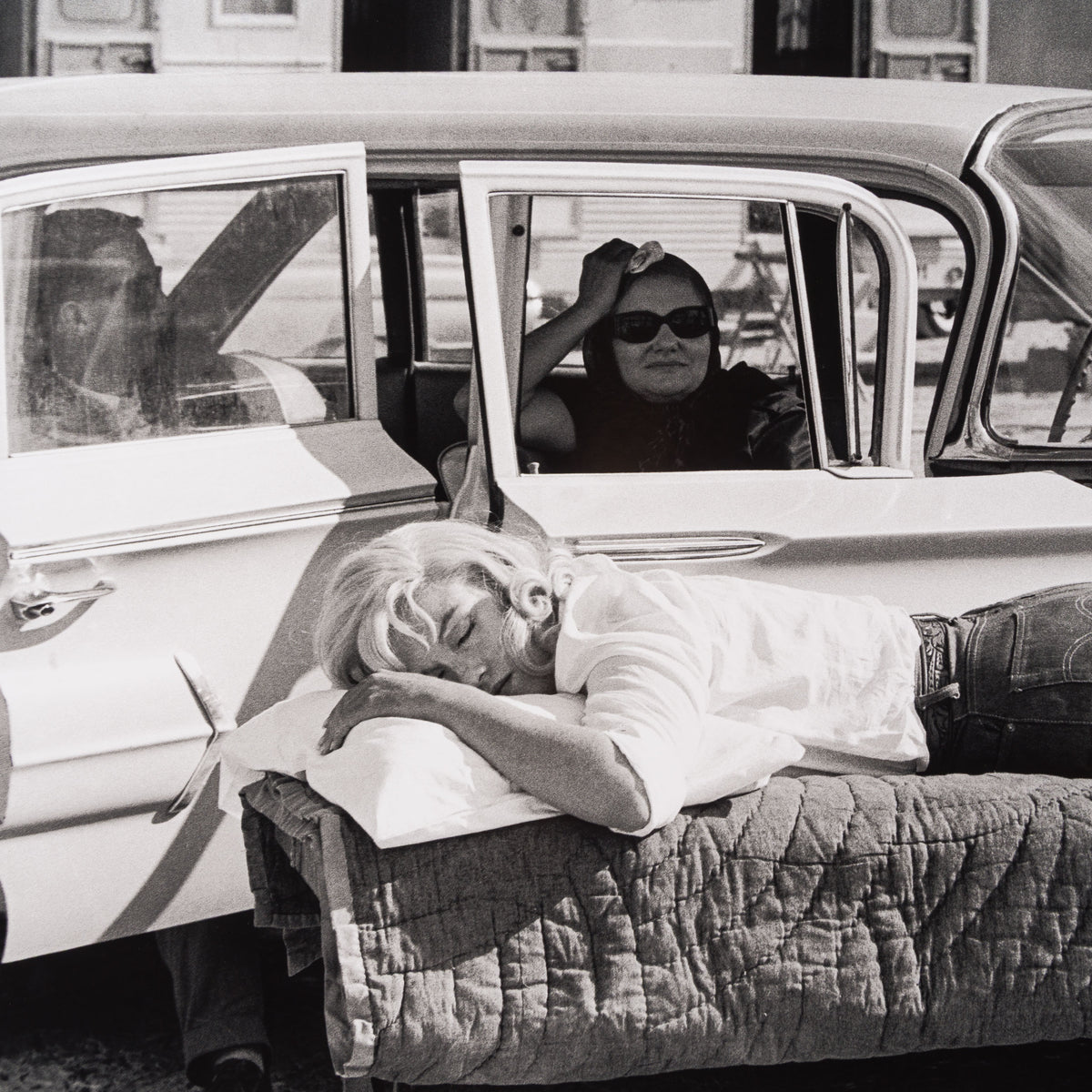 EAR RESTING ON SET OF THE MISFITS (12B) LRG 5