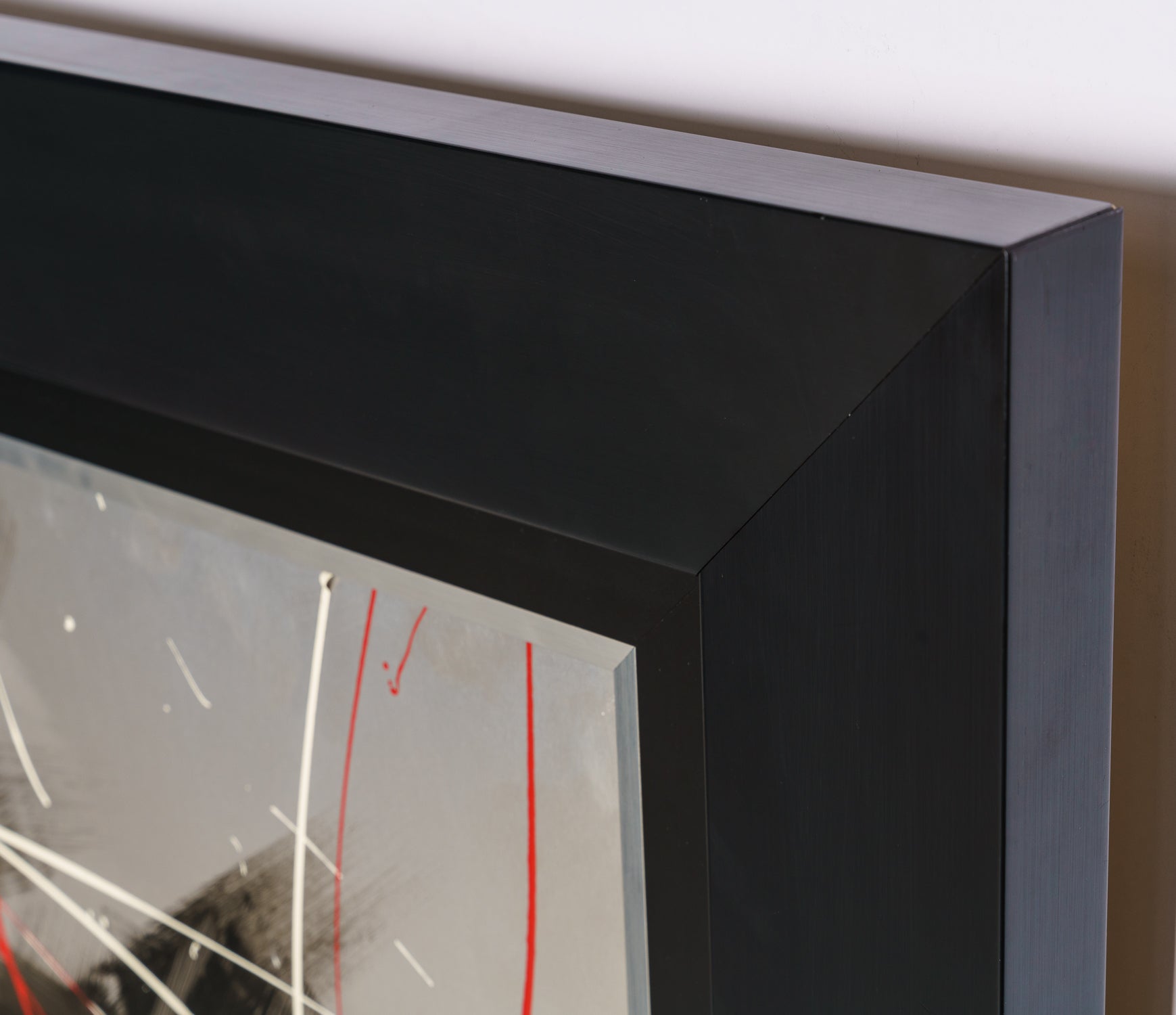 EGR ORI POR 11363 8 Lioness