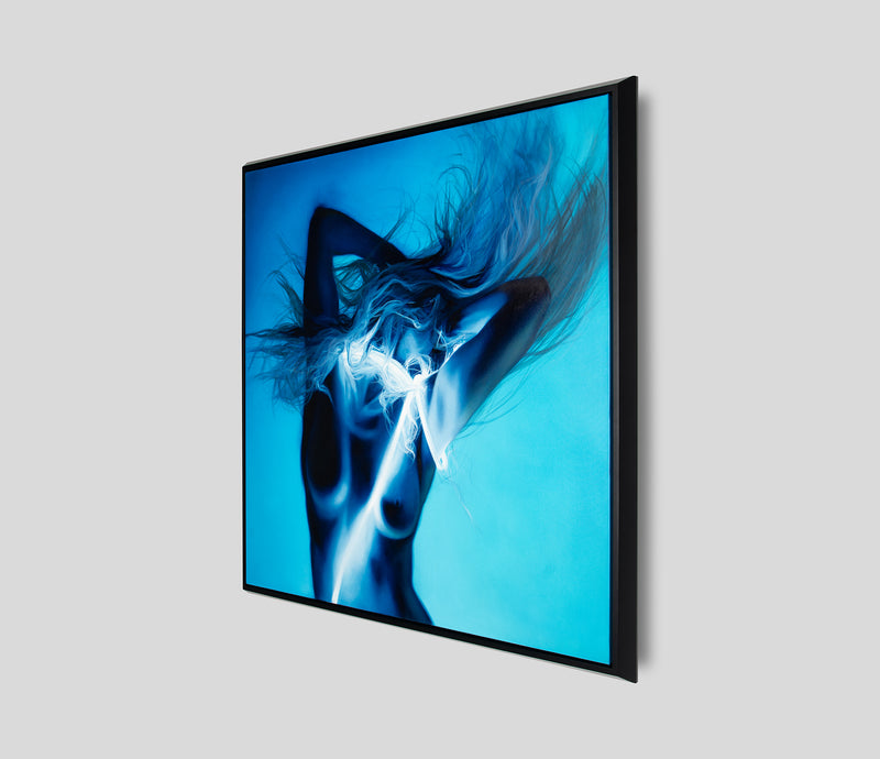 ELP ORI POR 27653 2 Vivace