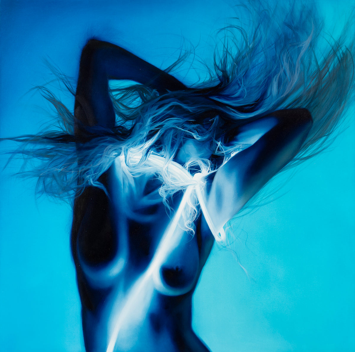 ELP ORI POR 27653 3 Vivace