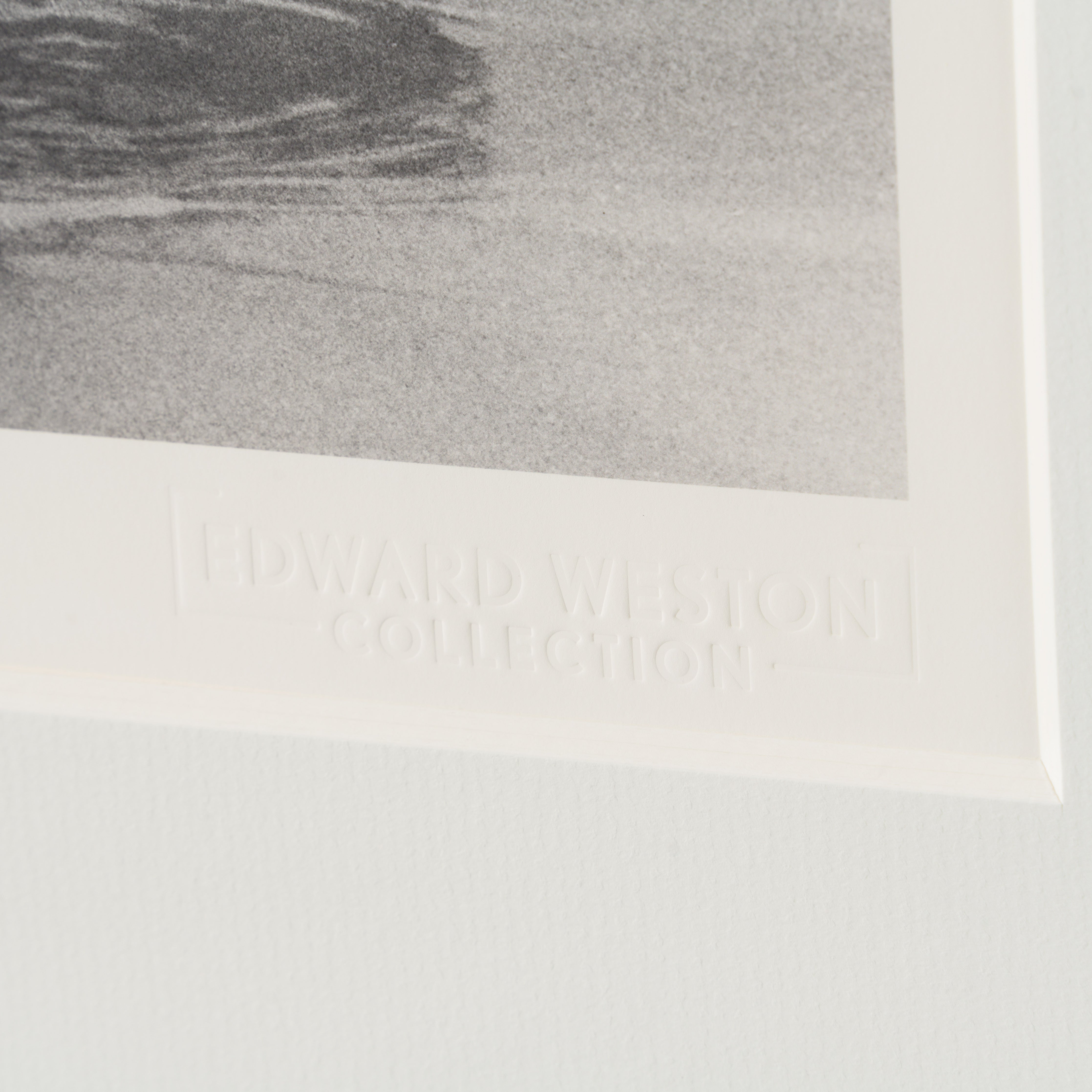 EWC SLE POR 98288 3 Driftwood, Tobay Beach, 1949