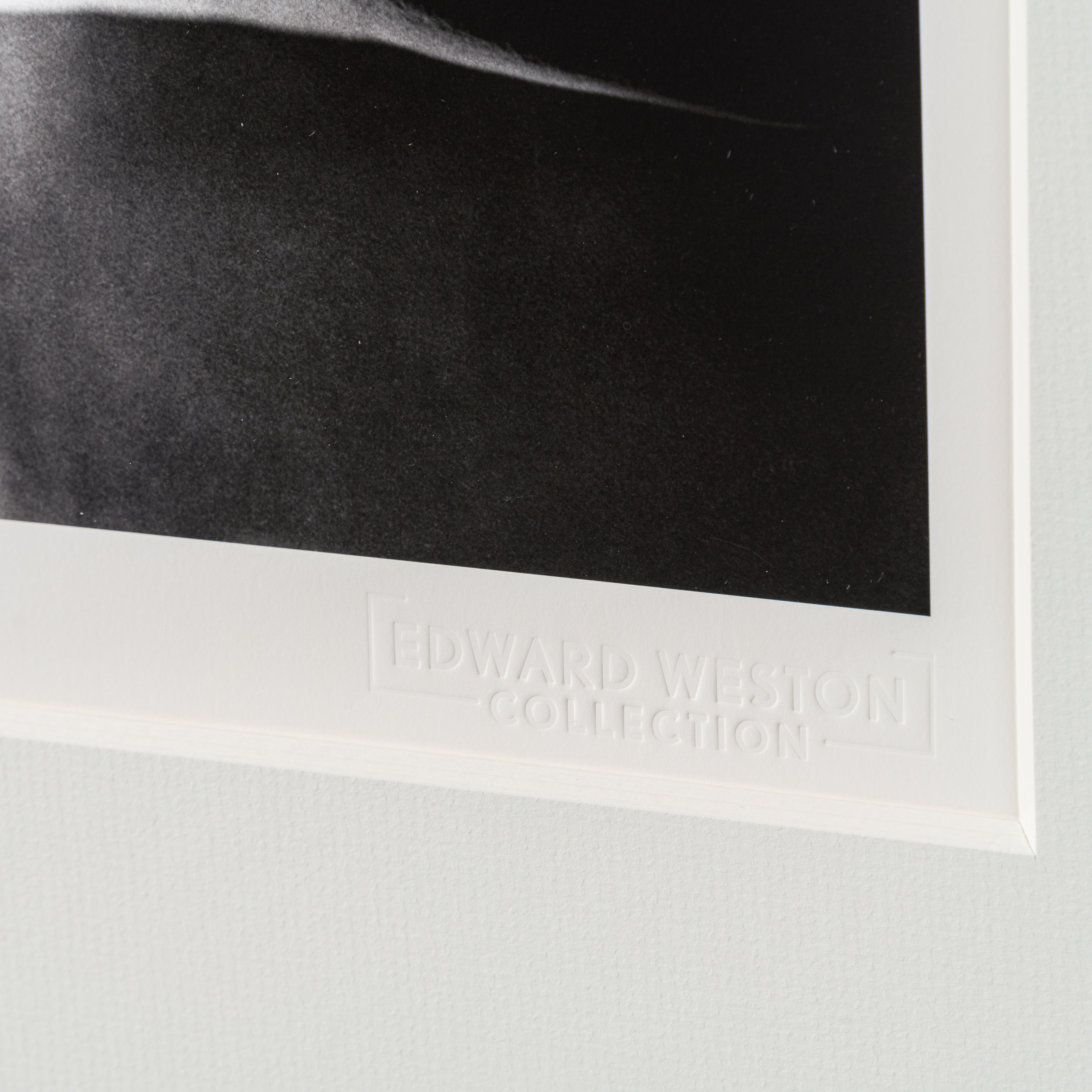 EWC SLE POR 98294 5 Studio Shot, 1948