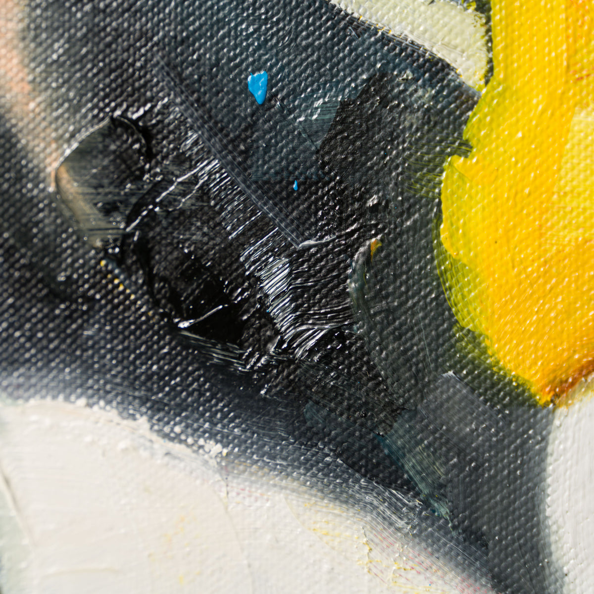 Doughnut Disturbance