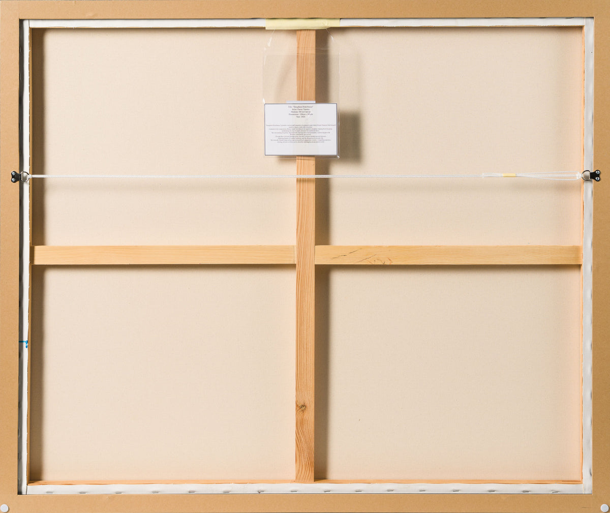 Doughnut Disturbance