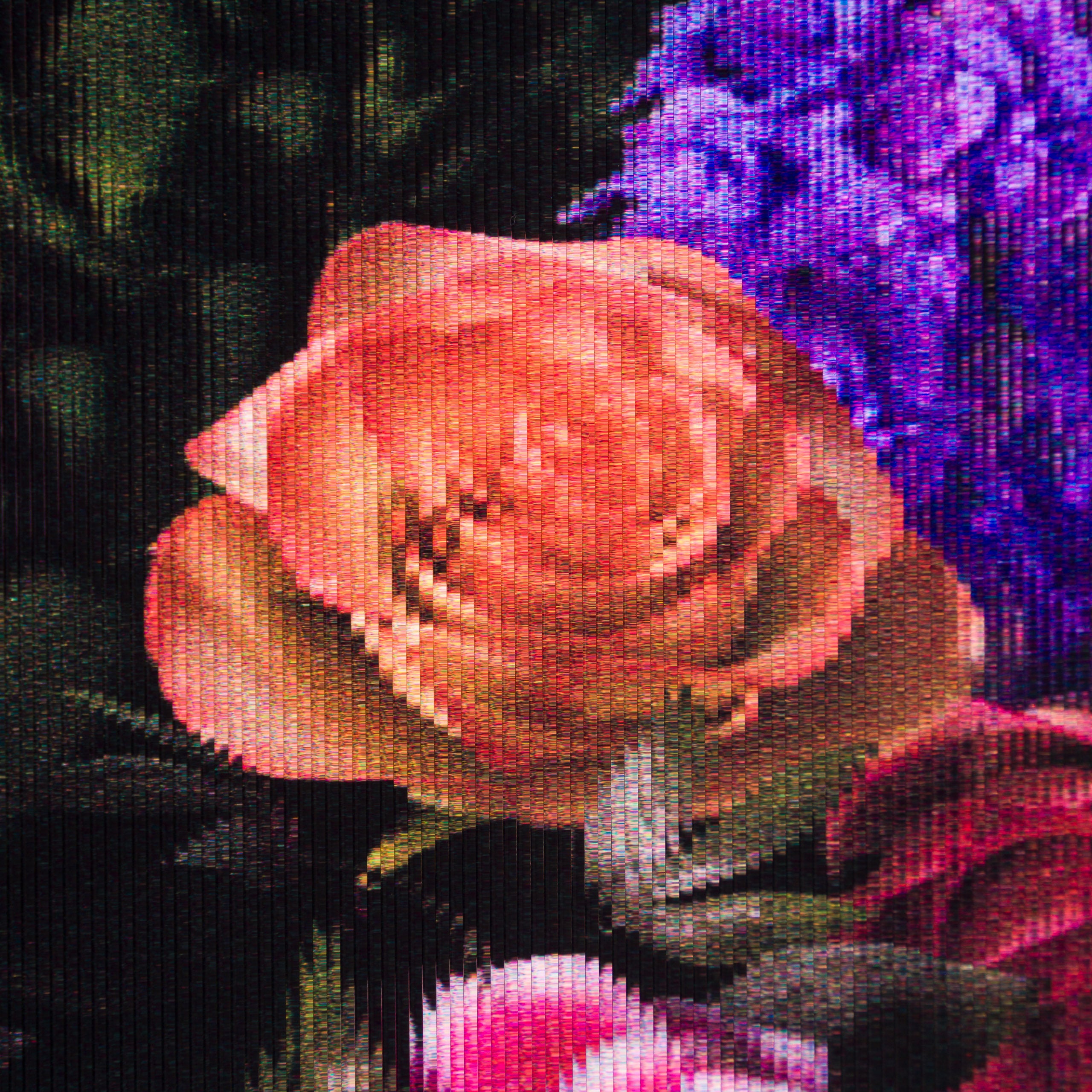 GJM ORI POR 34946 Botanic Kingdom Gold 6