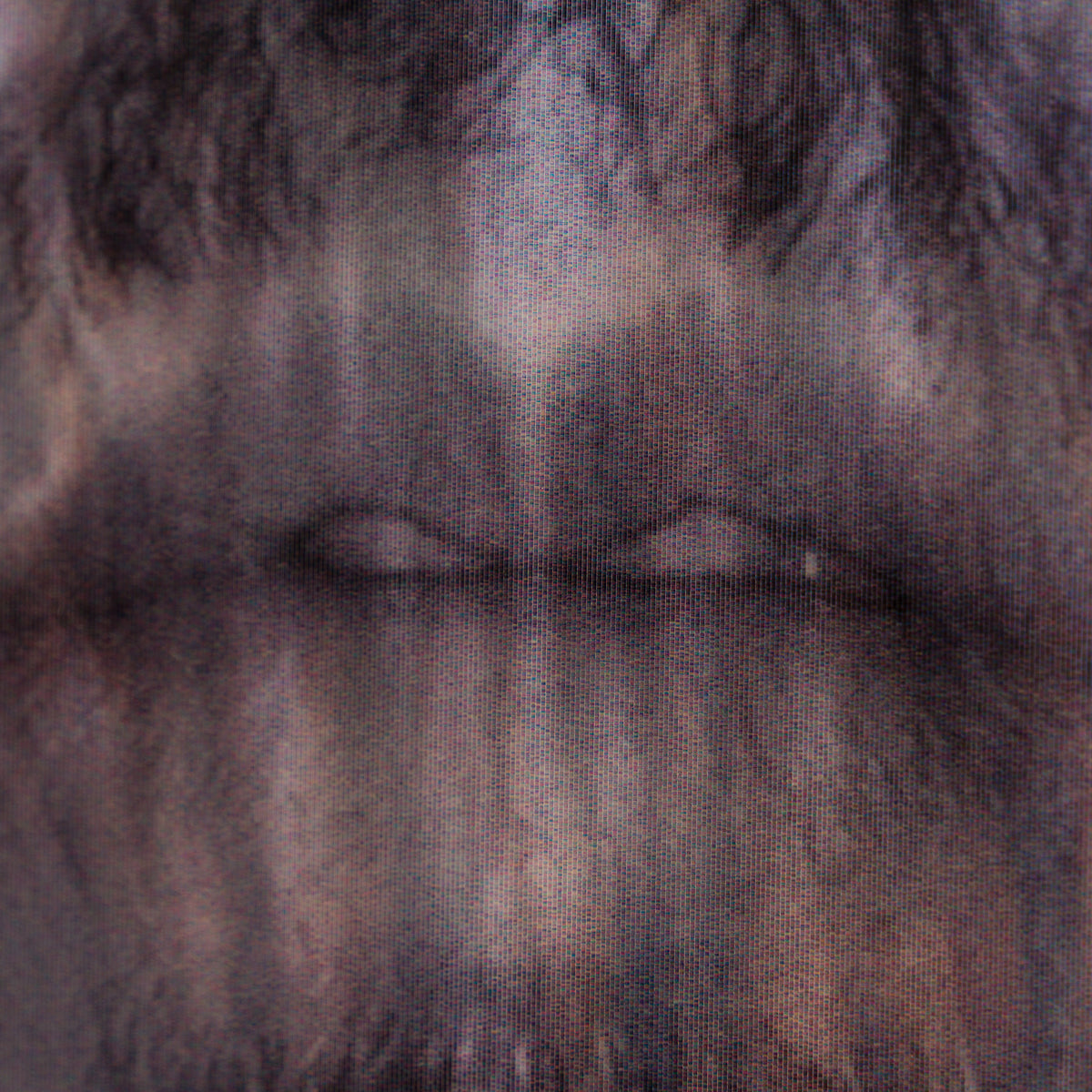 GJM ORI POR 34950 Savage Beauty 8