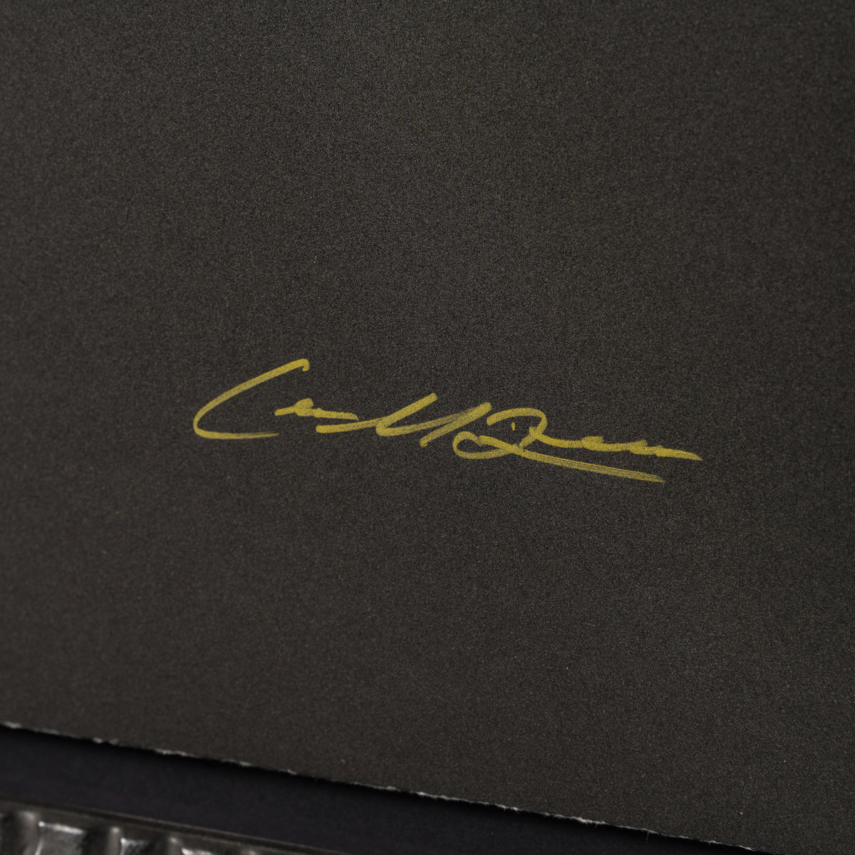 GJM SLE POR 35875 Midas (Teal) 3