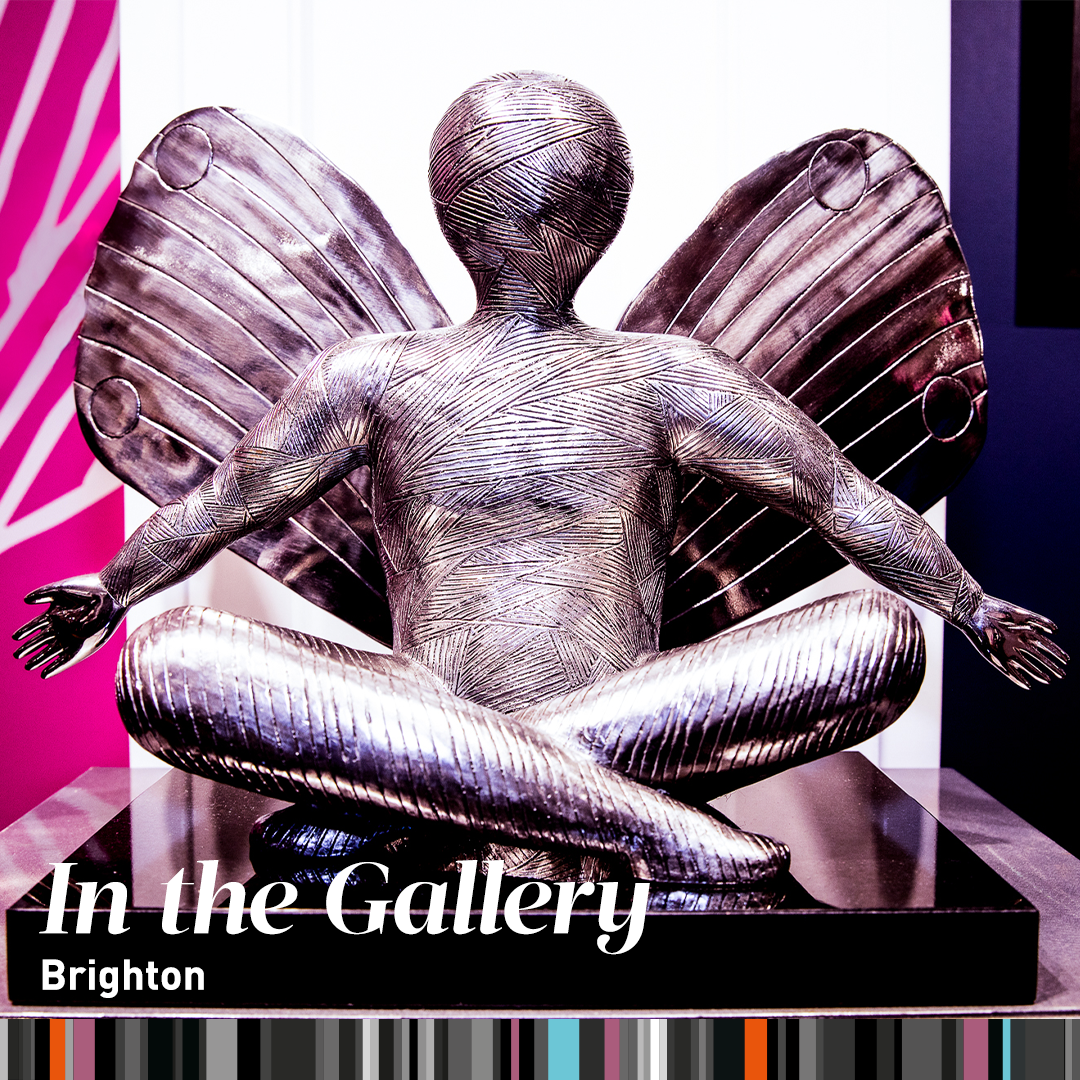 Hang Glider in Brighton Gallery