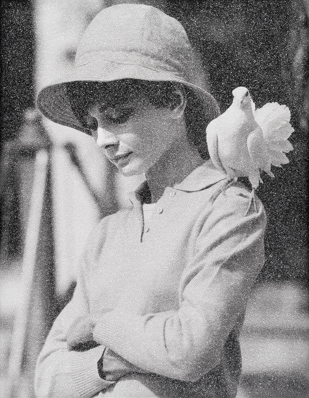 Hepburn With Dove C