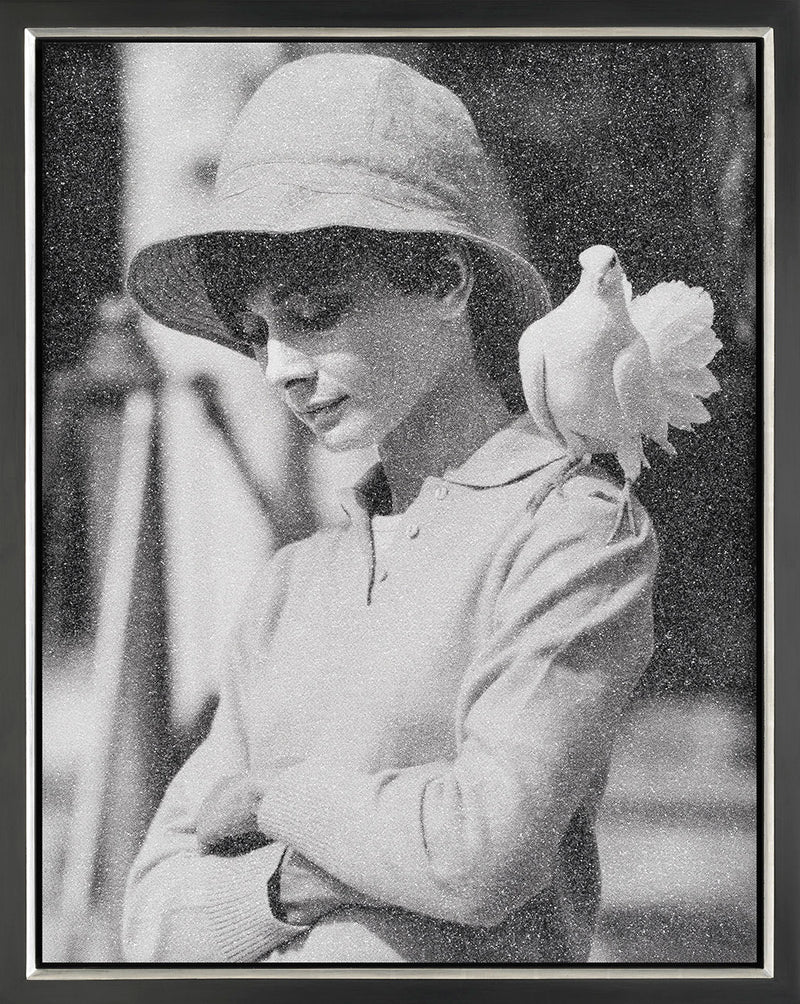 Hepburn With Dove FBC