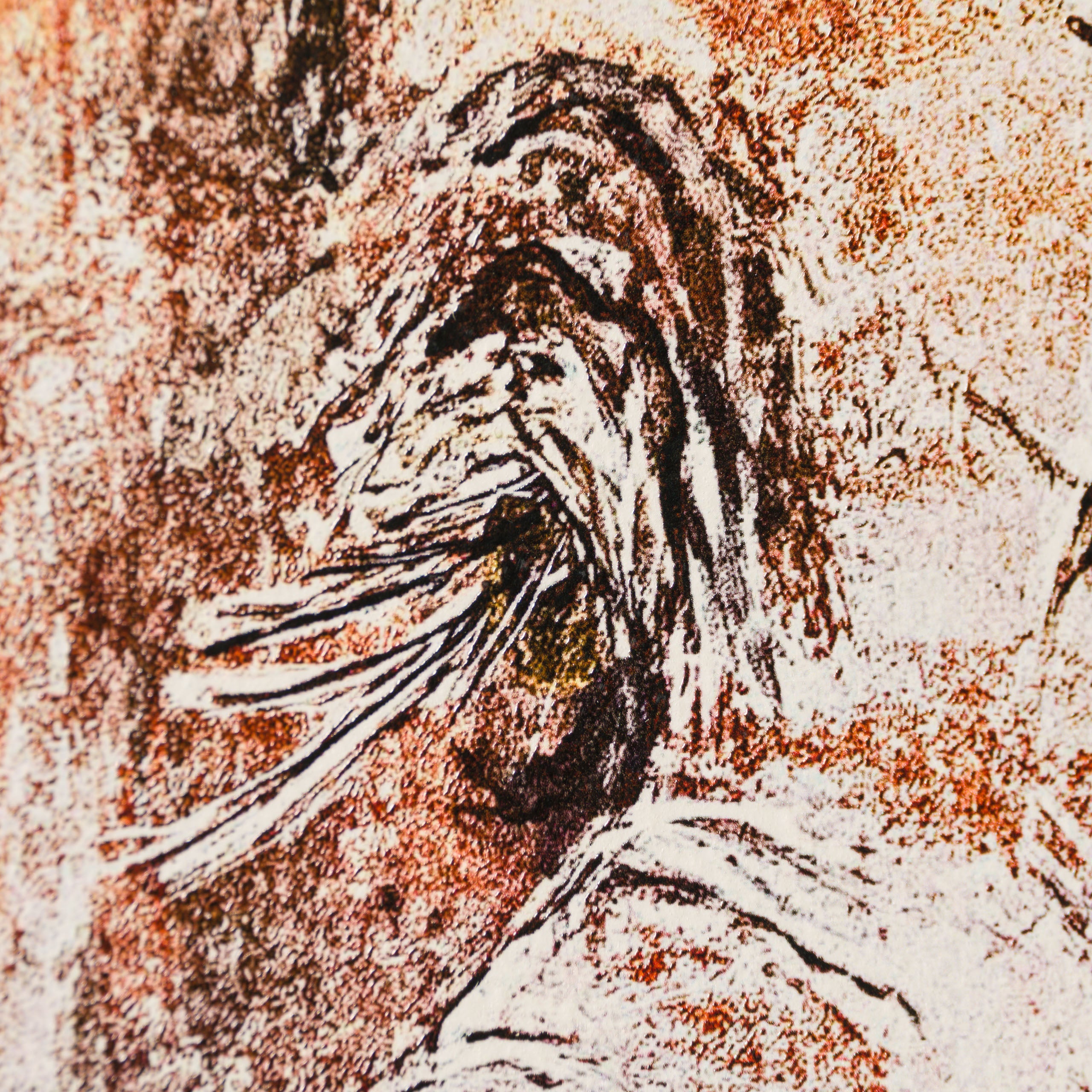 Tarot | Portfolio Set of Four