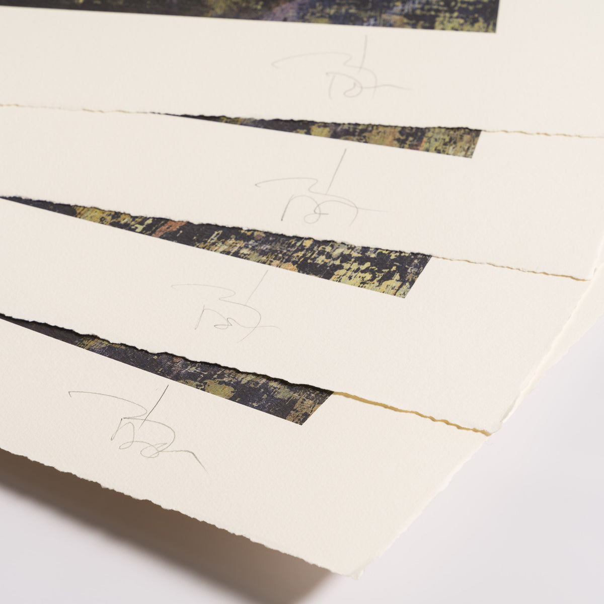 JDE Unframed Set of Four with Portfolio 4