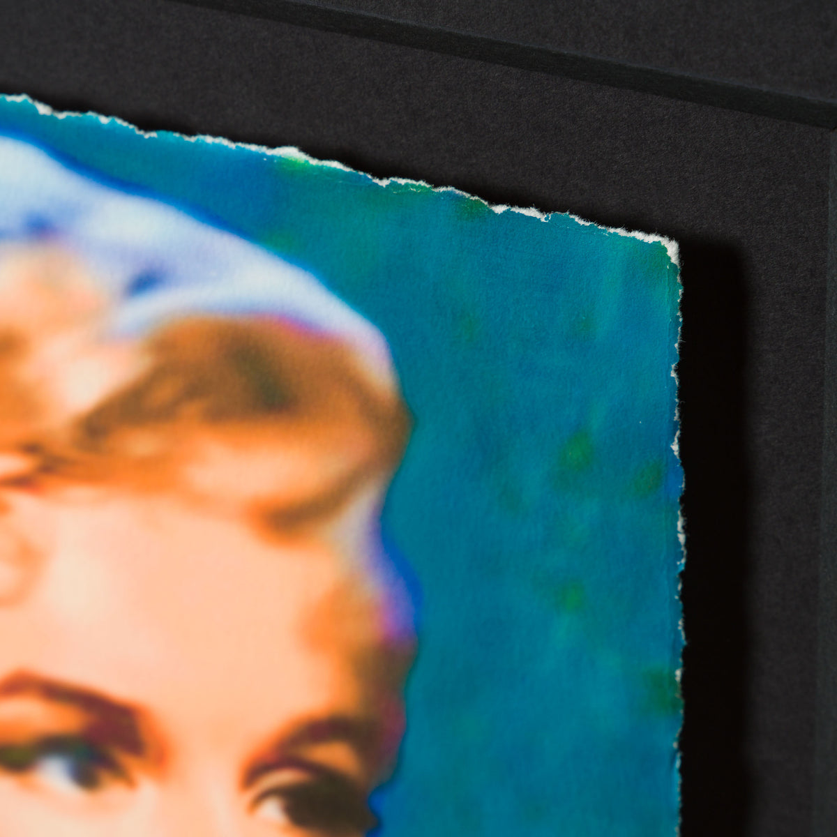 JGI ORI POR 33407 Marilyn 2023 (1569) 6