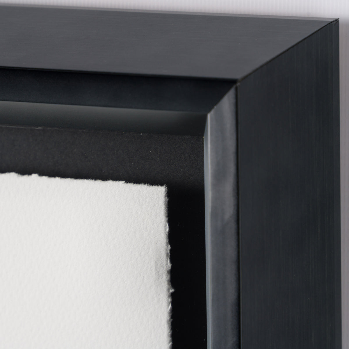 JGI SIL POR 17627 4 Duke In Desert Shadow