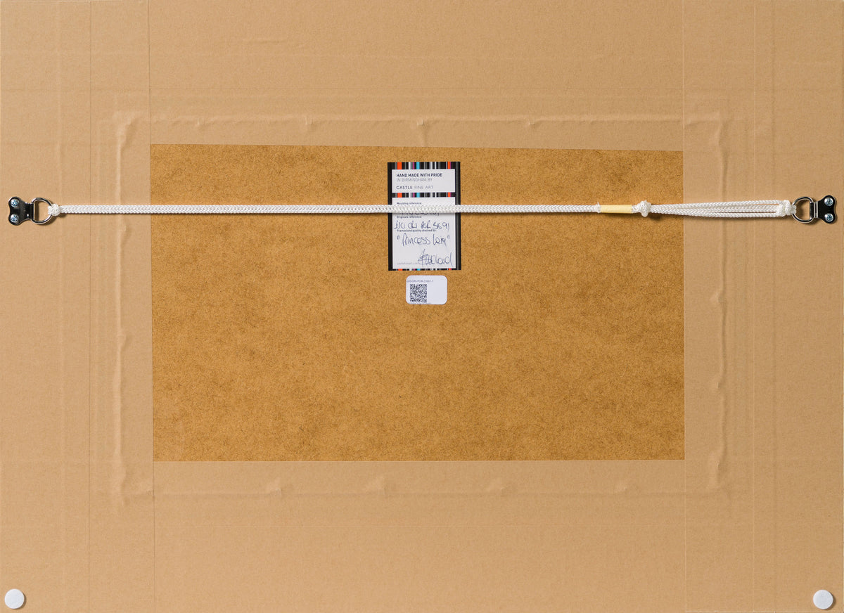 JJO ORI POR 31691 Princess Leia (Diptych) 8