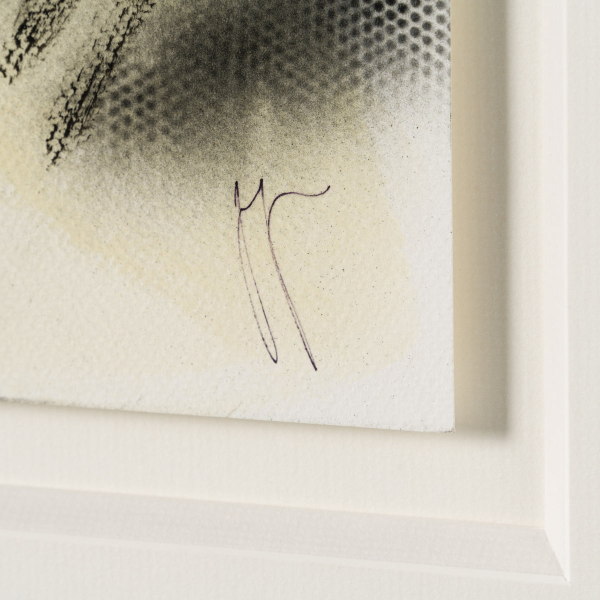 JJO ORI SKT 29445 3 It s A Fucking Freak Show