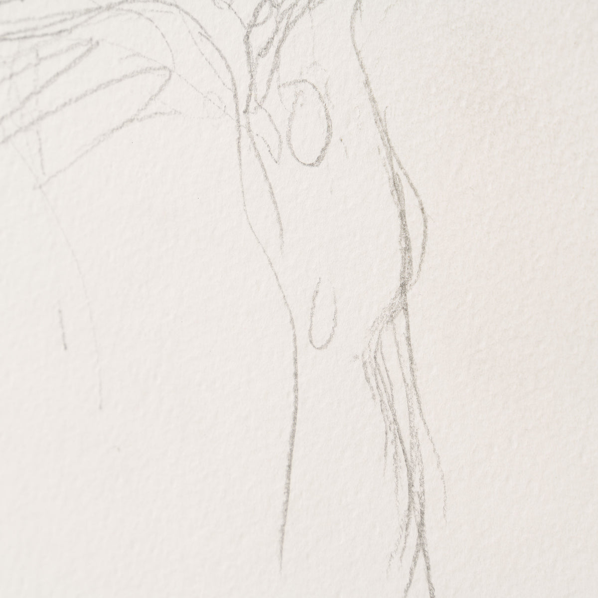 JMY ORI POR 33819 Pencil Study (2) of Sylvette David In The Style Of Pablo Picasso 1954 6