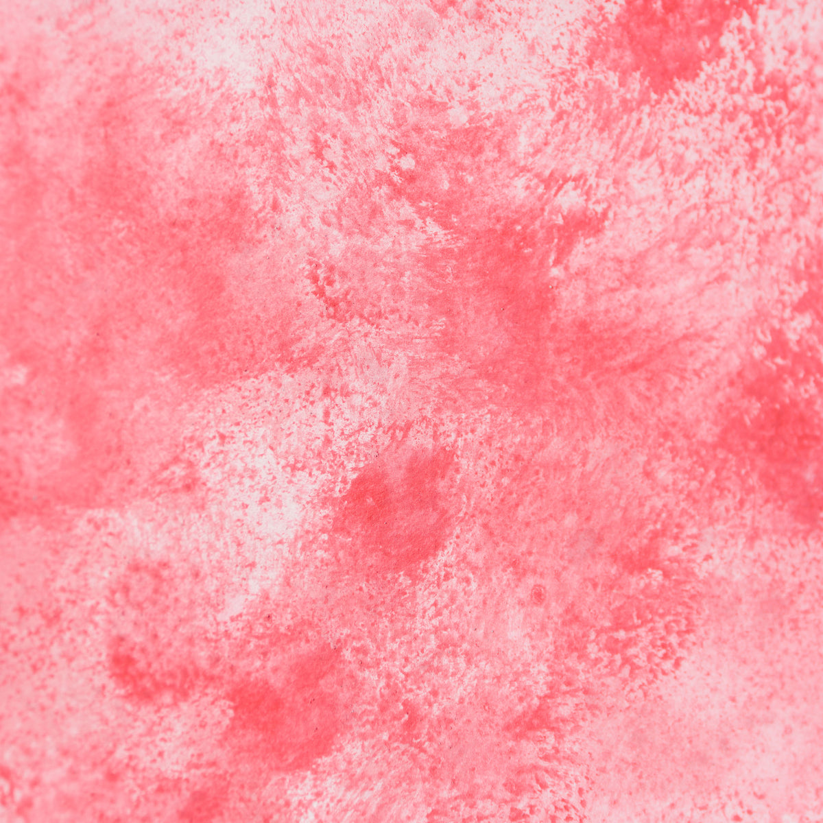 JMY ORI POR 33824 Rose Dove Of Peace In The Style Of Pablo Picasso 1961 5