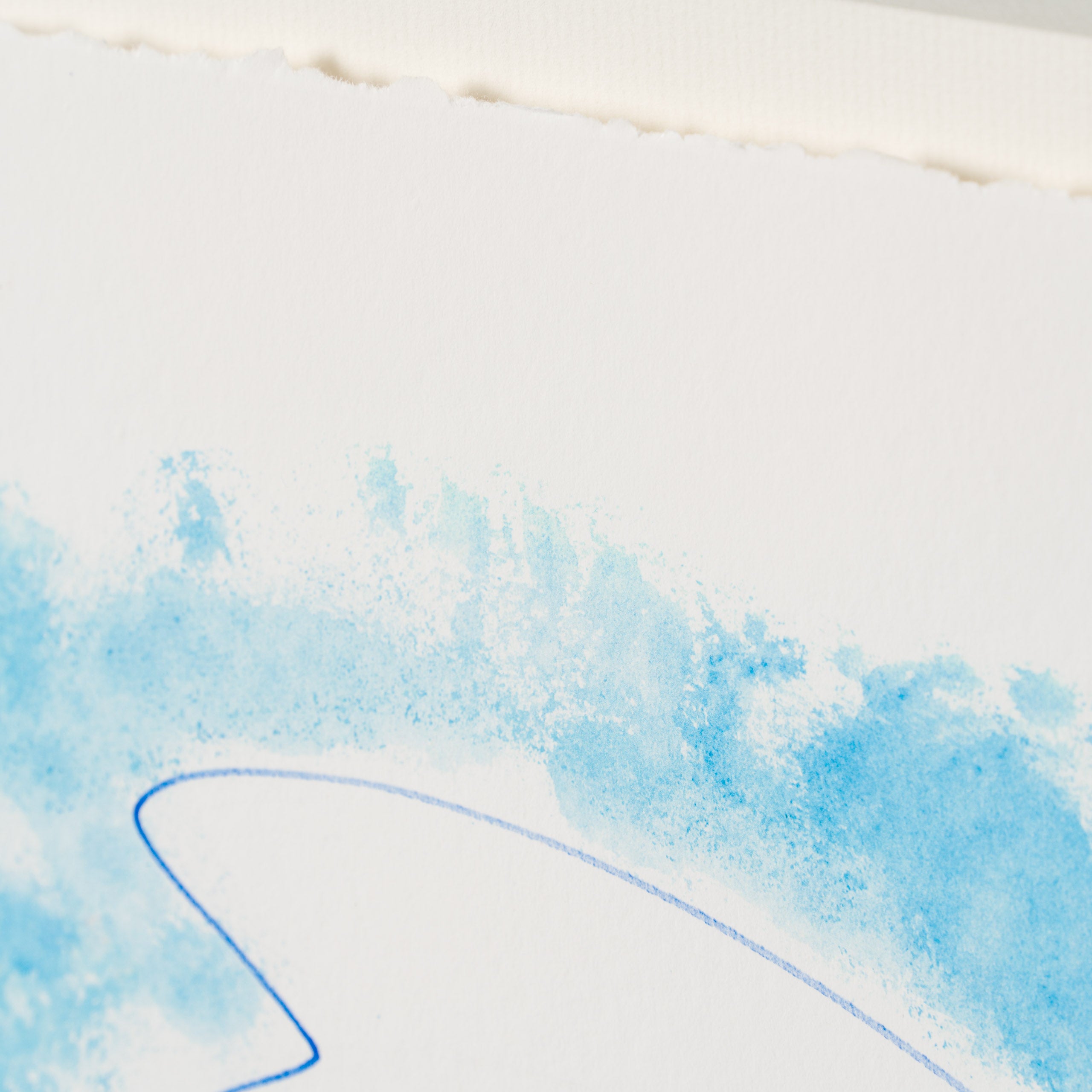 JMY SLE POR 34503 Blue Dove of Peace 6