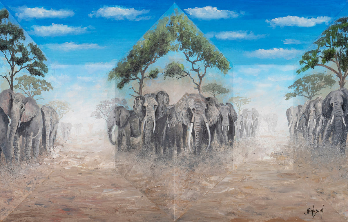 JWI ORI LAN 24832 2 Under African Skies