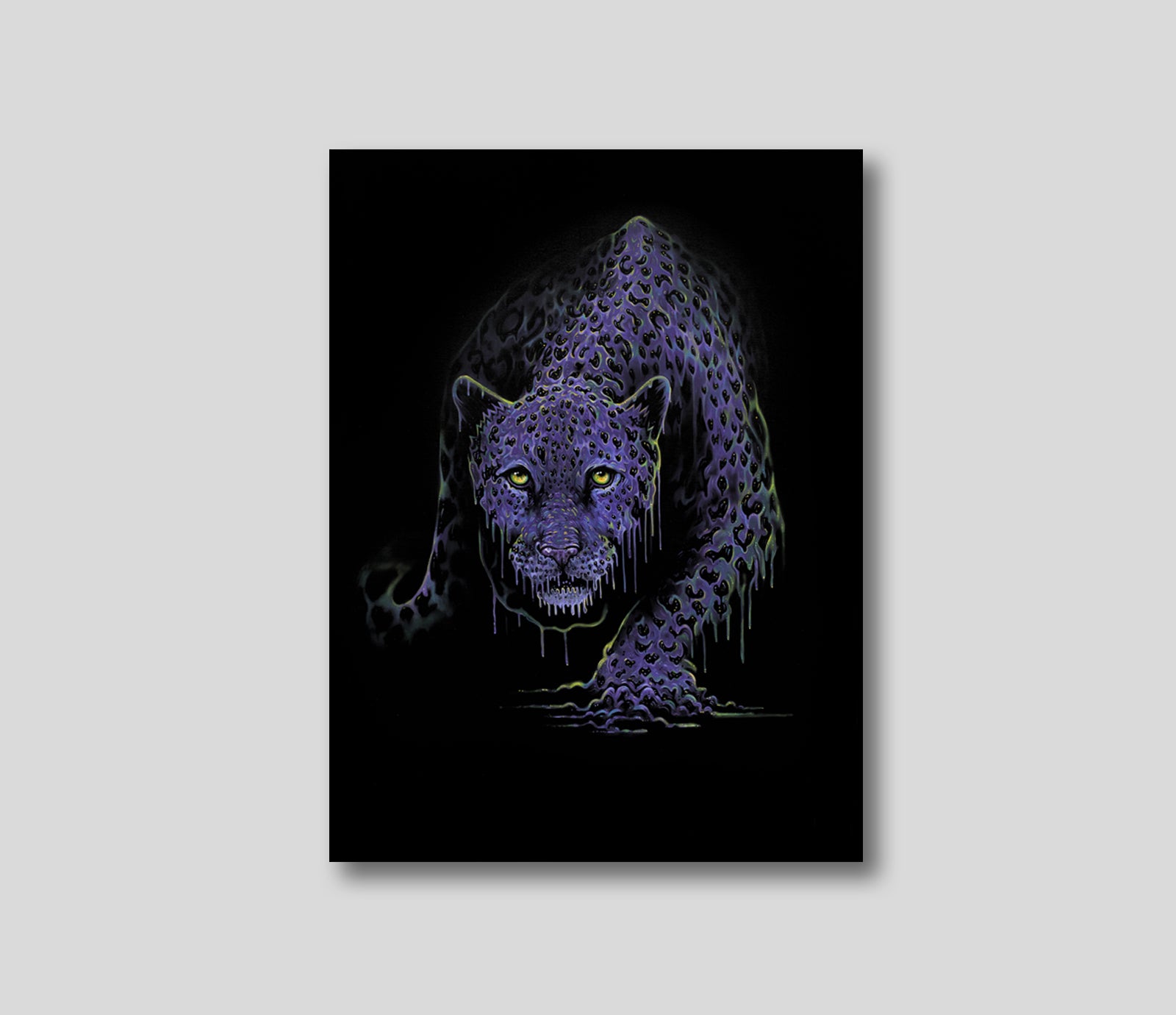Kali Purple Cat Oxley PI (1)