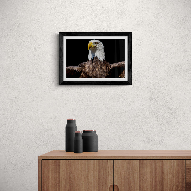 Land Of The Free, Home Of The Brave 2