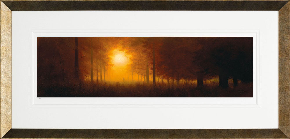 lcgc137 just listen f