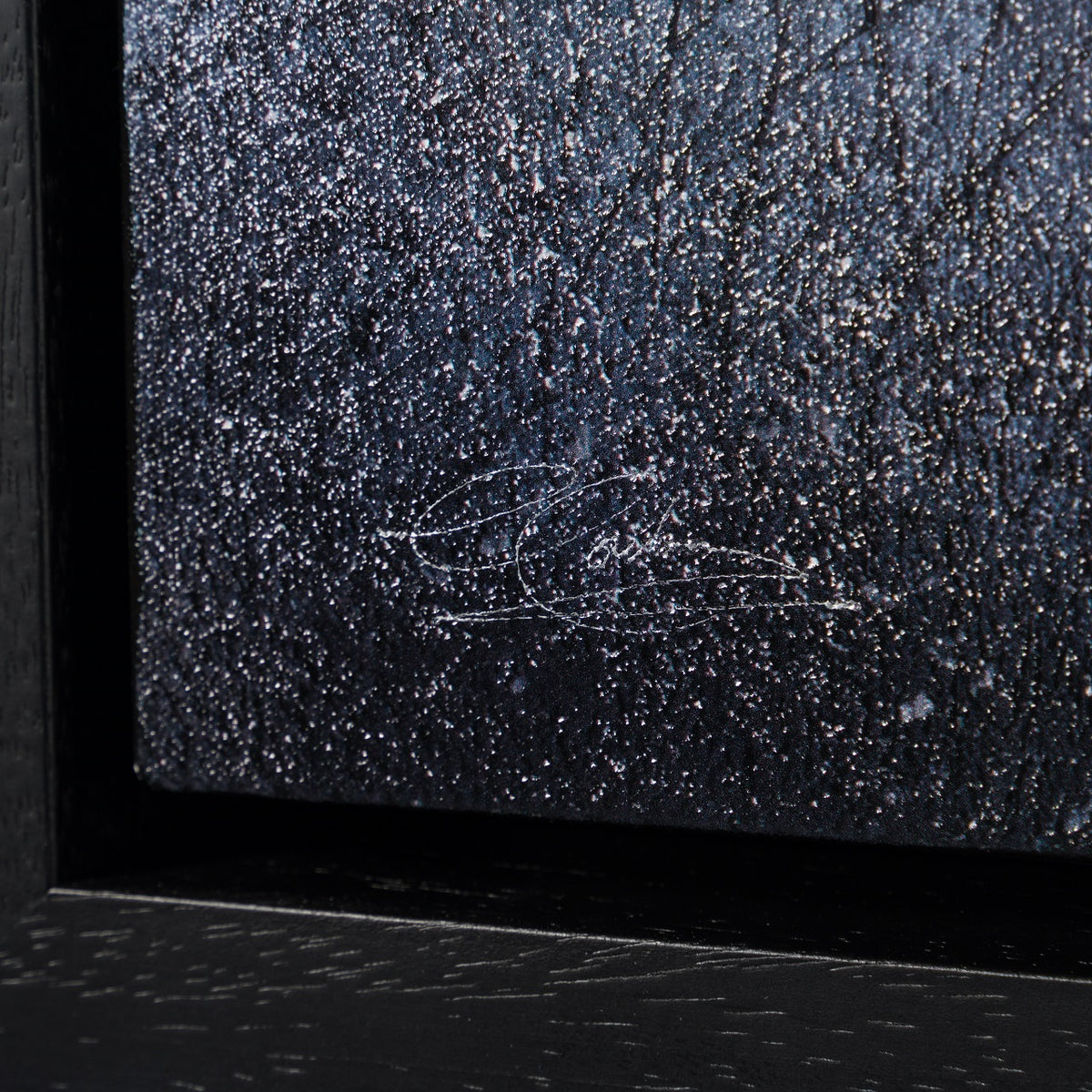 LCO 3 The Trees of Time