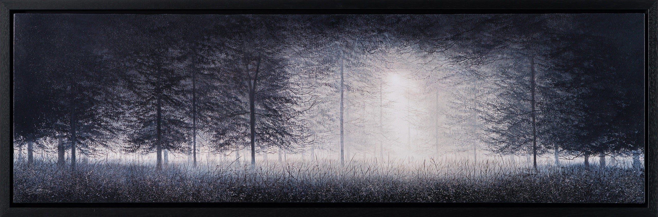 LCO 30 The Trees of Time