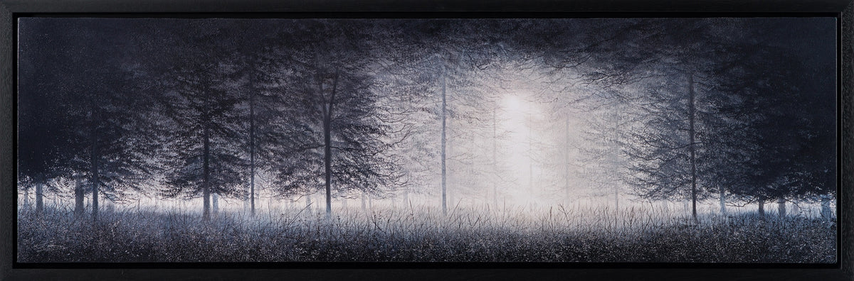 LCO 30 The Trees of Time