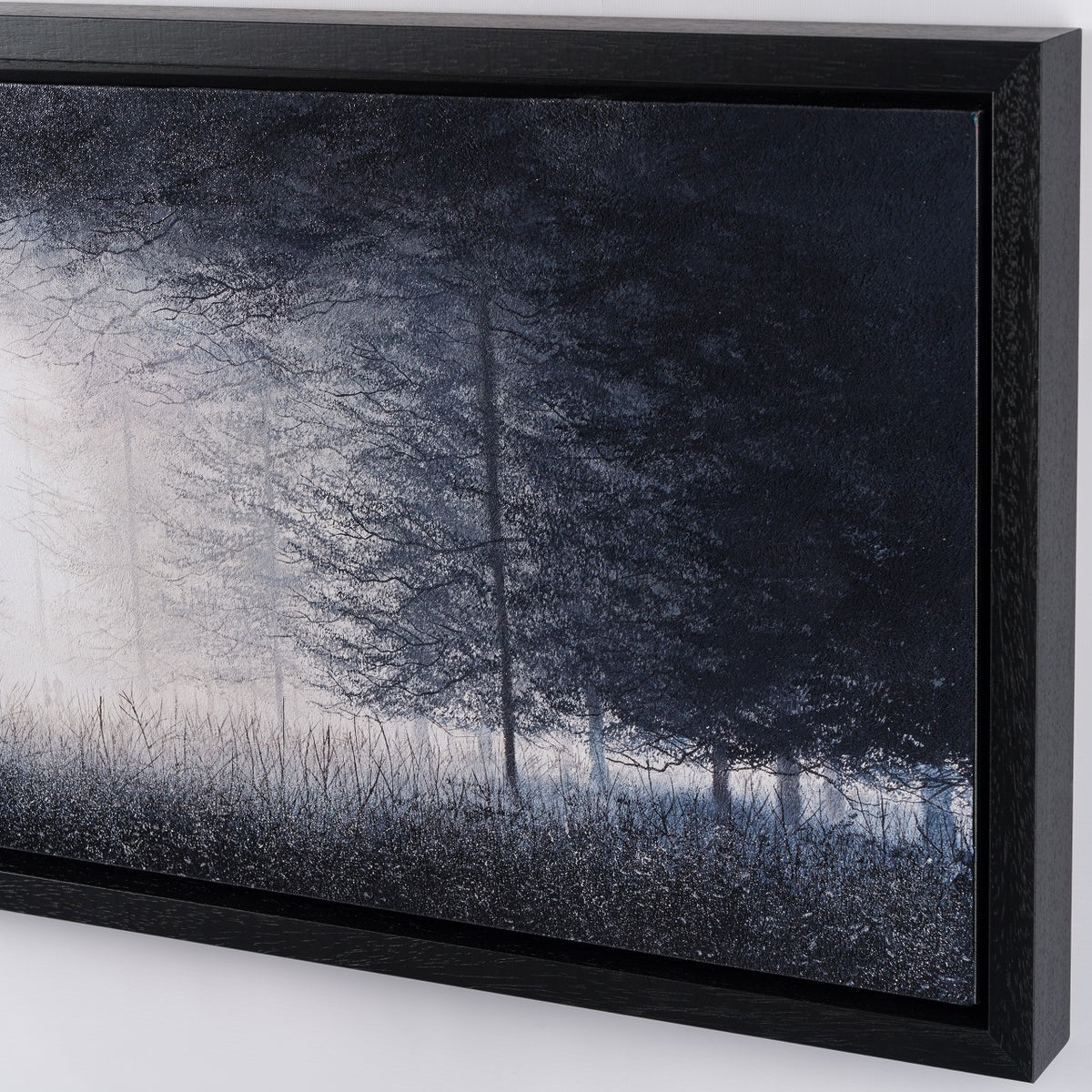 LCO 4 The Trees of Time