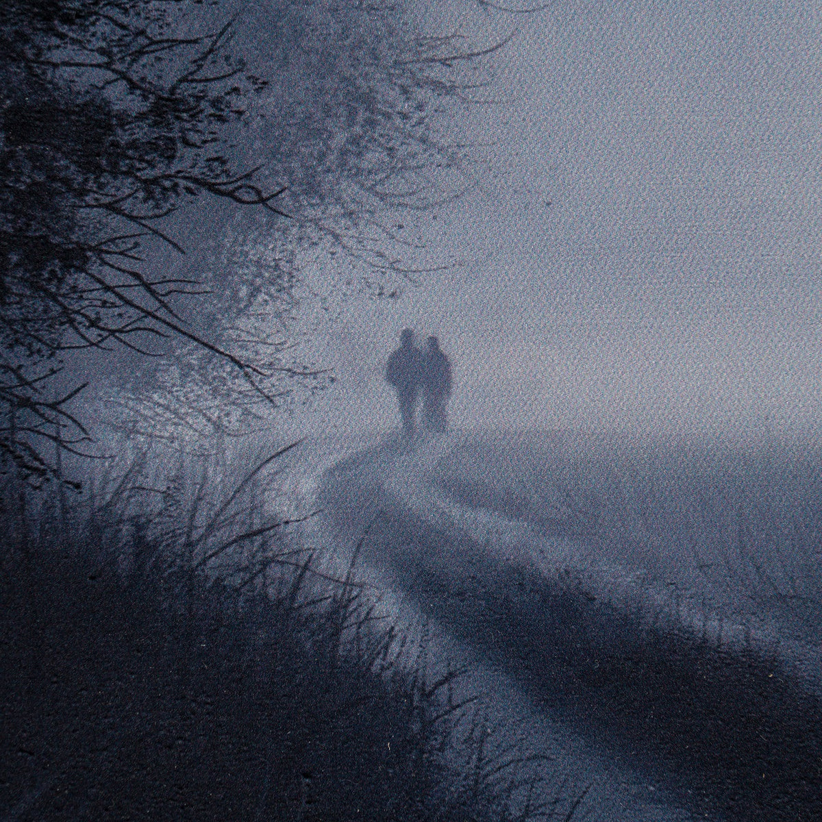 LCO 4 We Could Be Ghosts