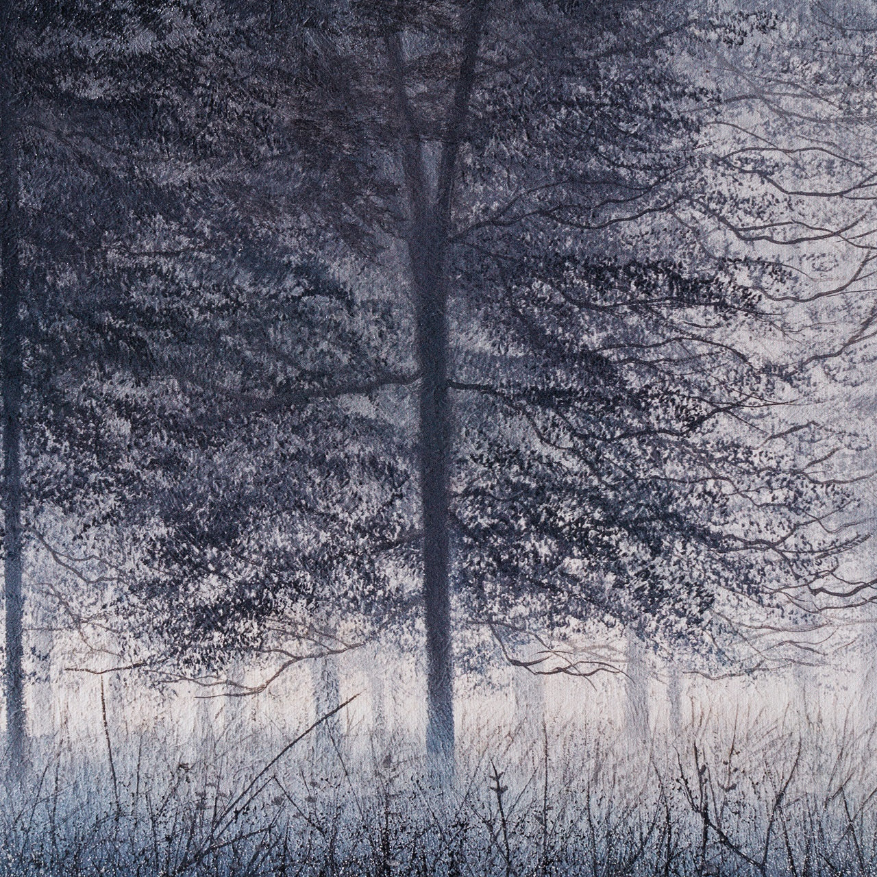 LCO 5 The Trees of Time