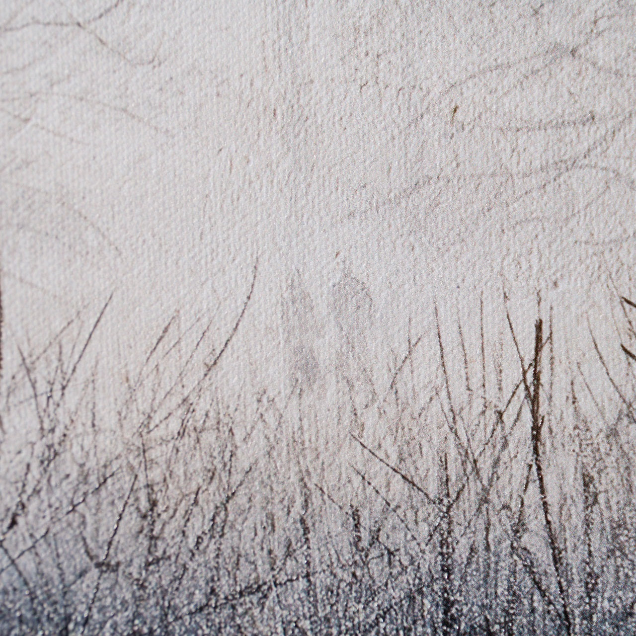 LCO 6 The Trees of Time