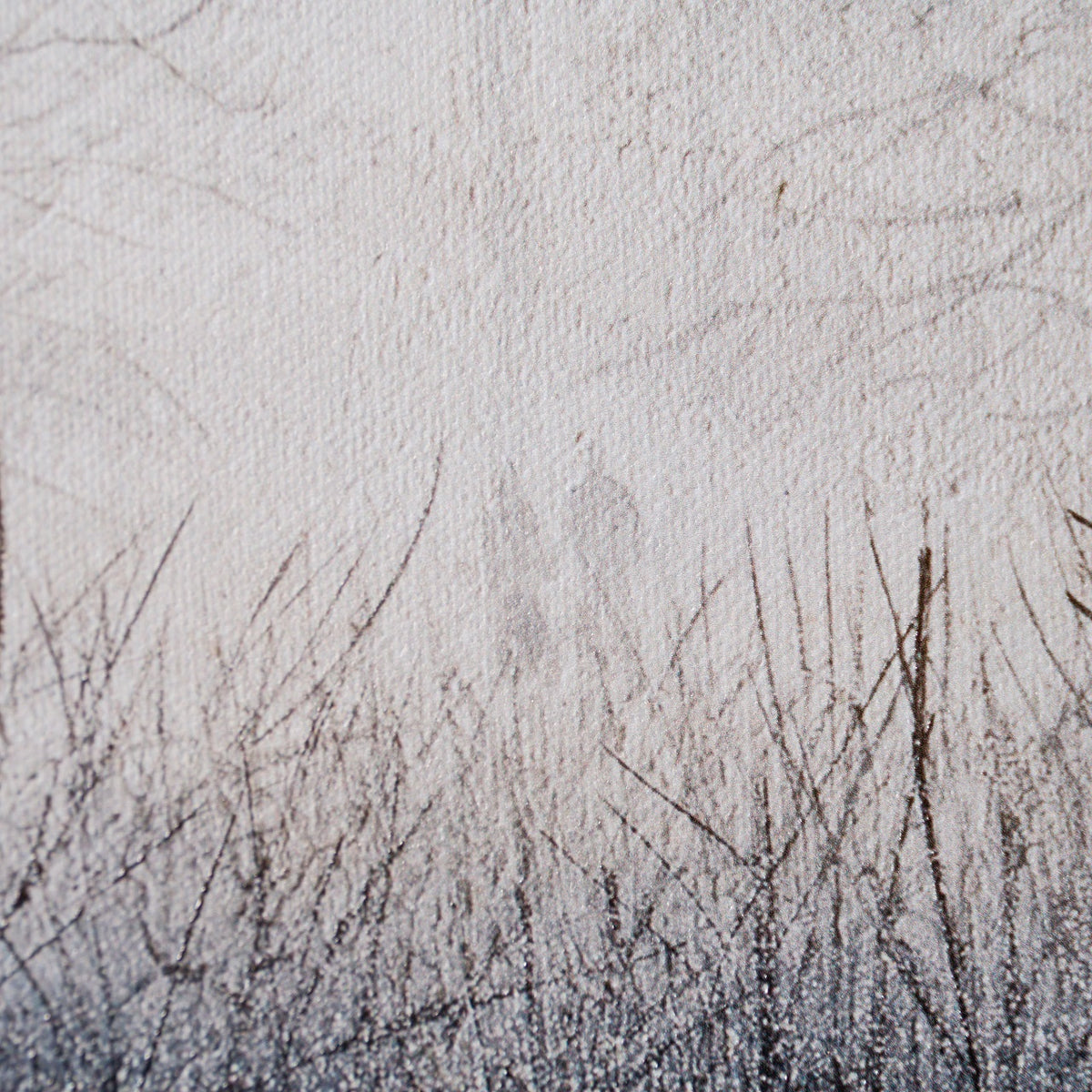 LCO 6 The Trees of Time