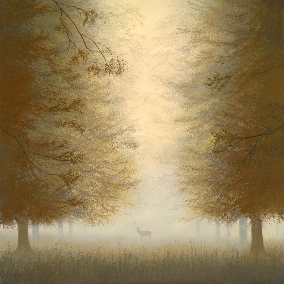 lco majest and mist r1