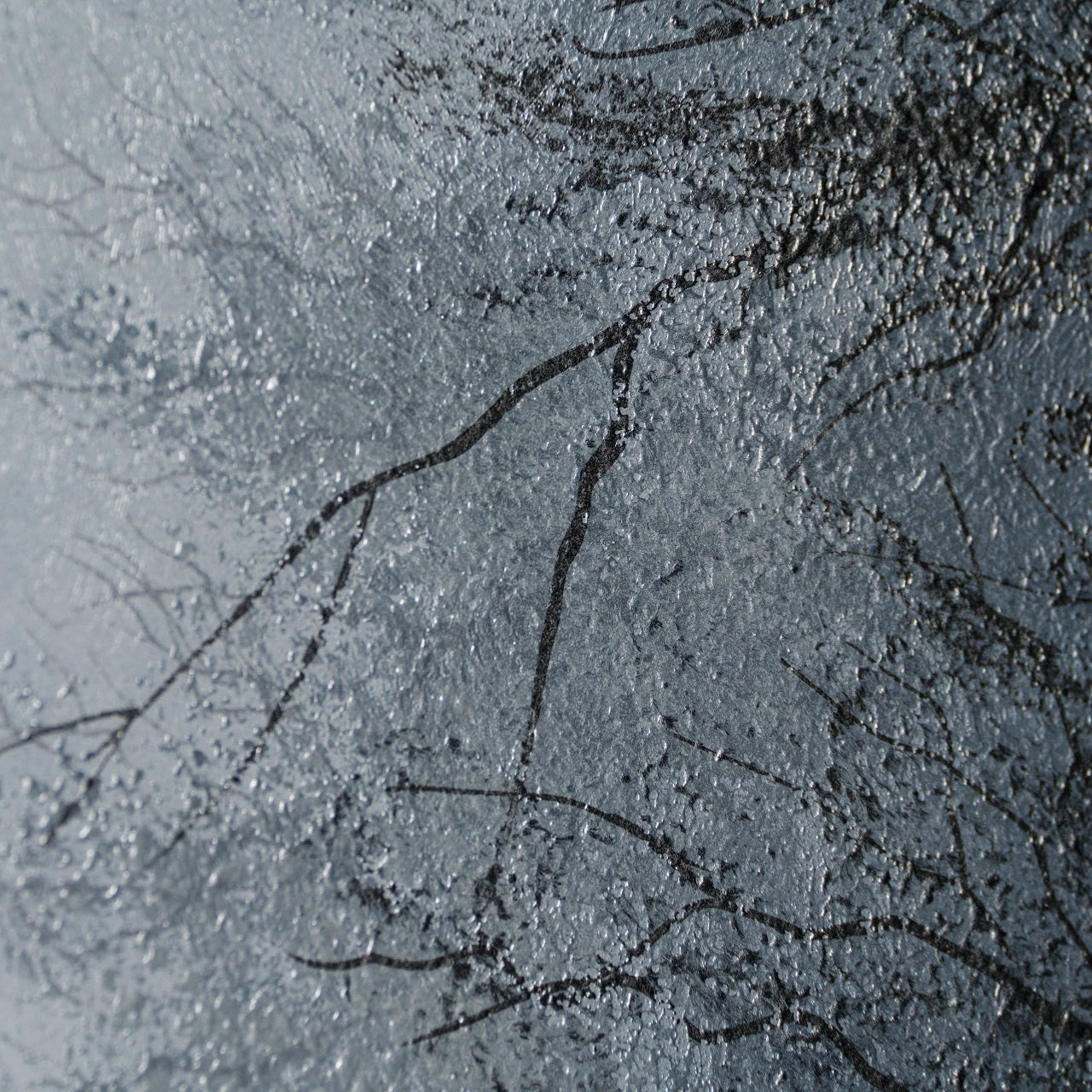 LCO ORI LAN 28862 6 We Could Be Ghosts