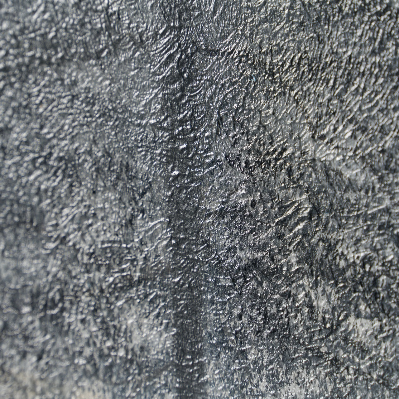 LCO ORI LAN 29403 7 The Trees Of Time