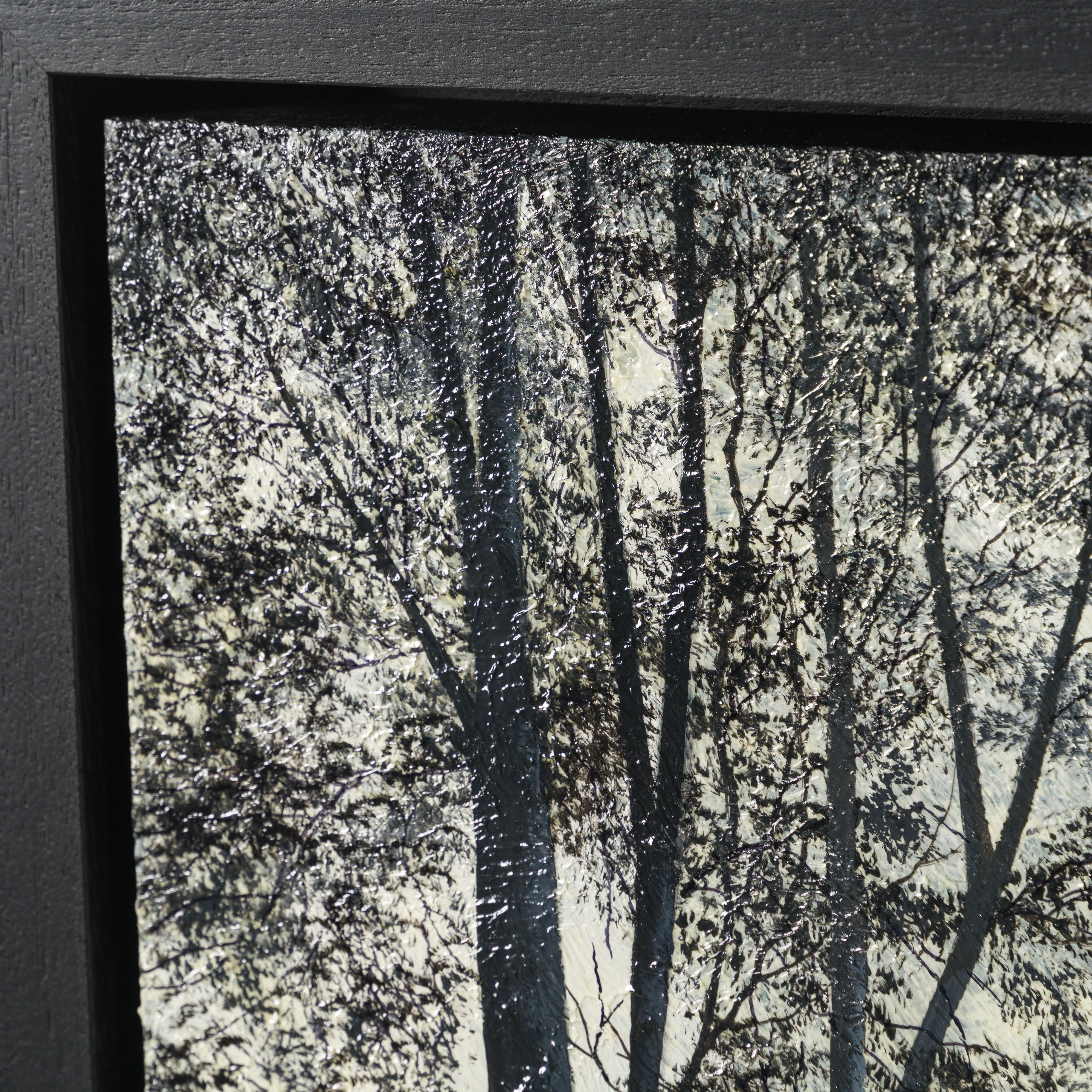 LCO ORI LAN 30308 Autumn Silver 5