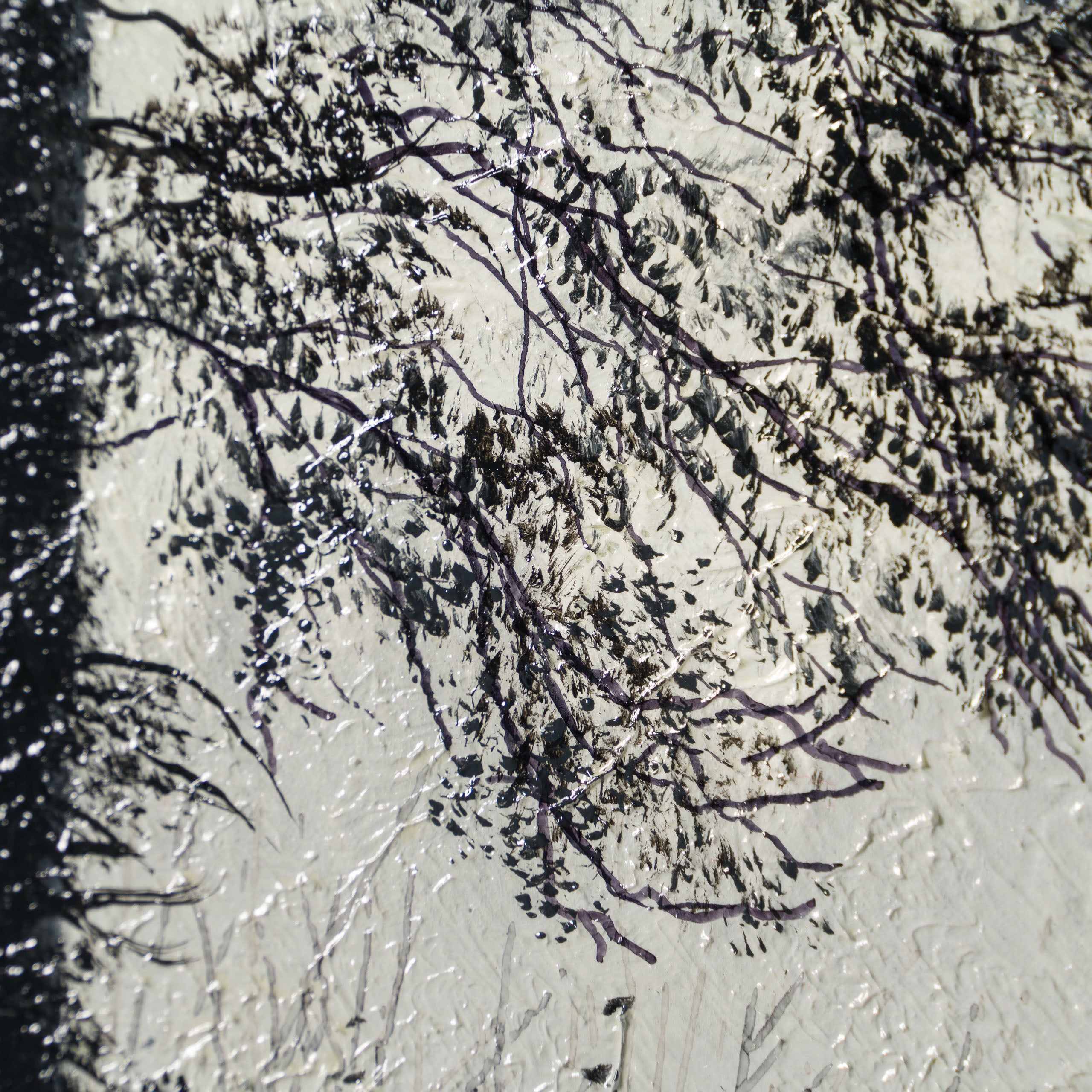 LCO ORI LAN 30308 Autumn Silver 6