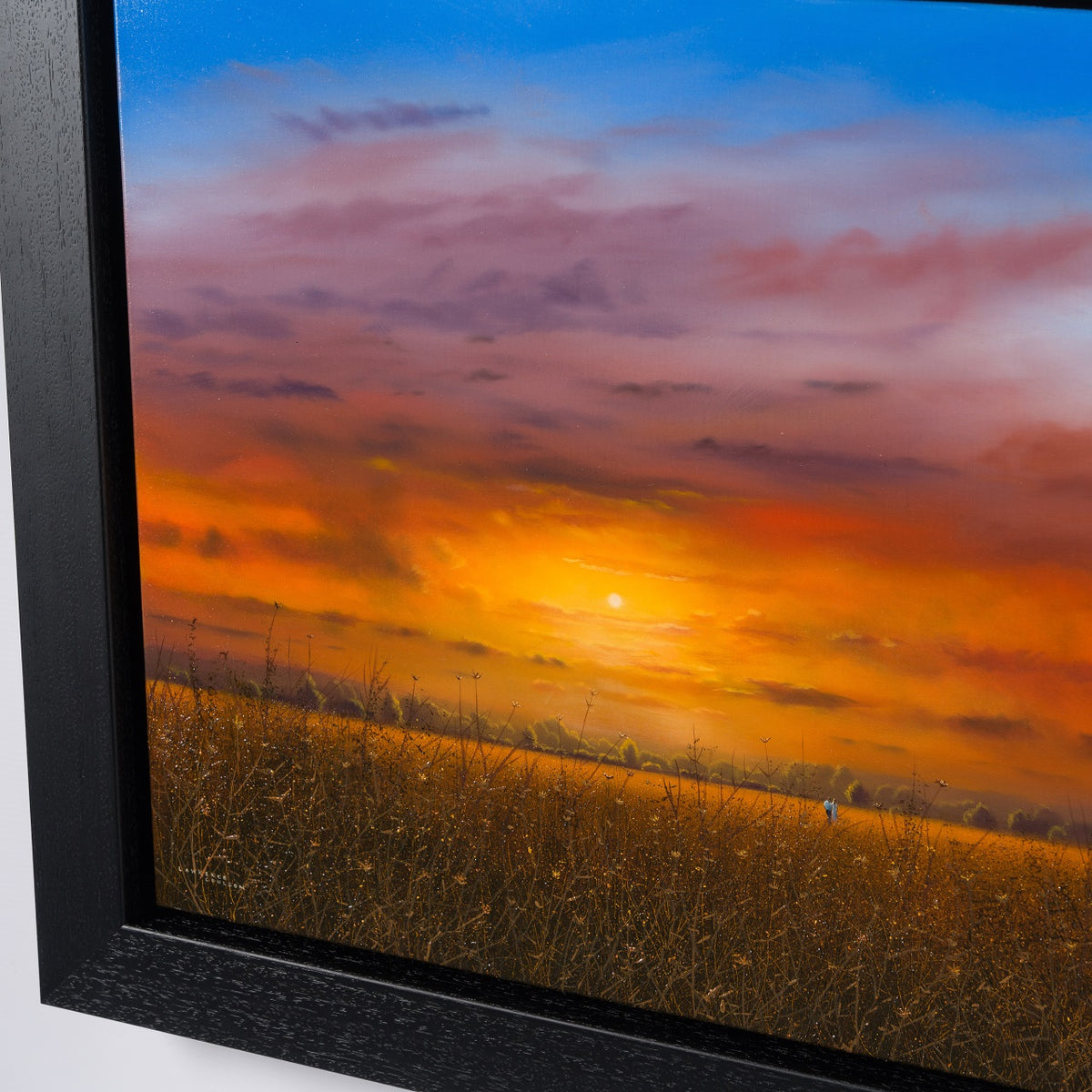 LCO ORI LAN 30311 heart and soul (7)