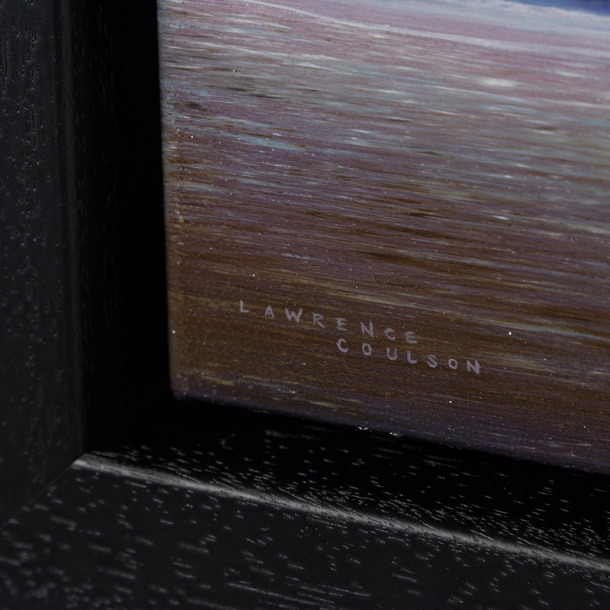 LCO ORI LAN 30312 Braving the weather (10)